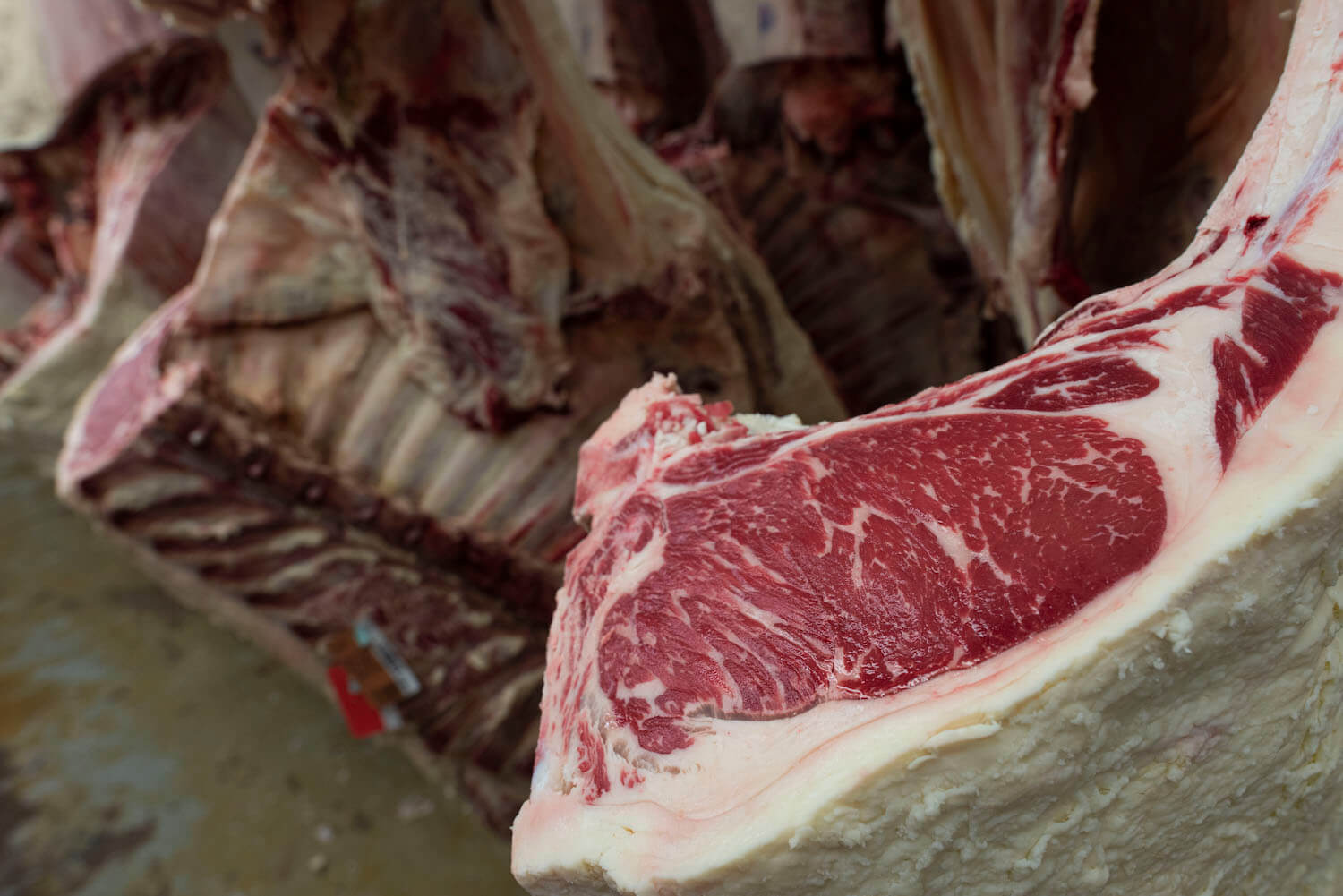 Cattle carcasses hanging showing a graded beef steak. (May 2020)