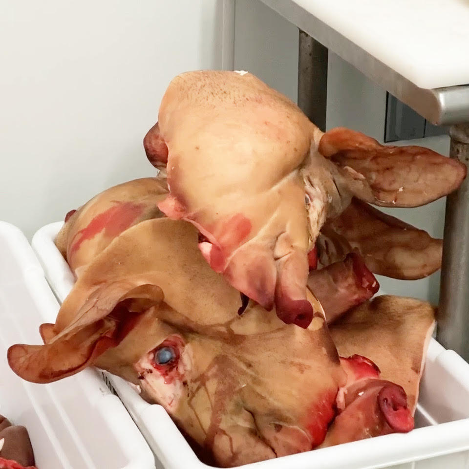 a container of pig heads Dan Barber, May 2020