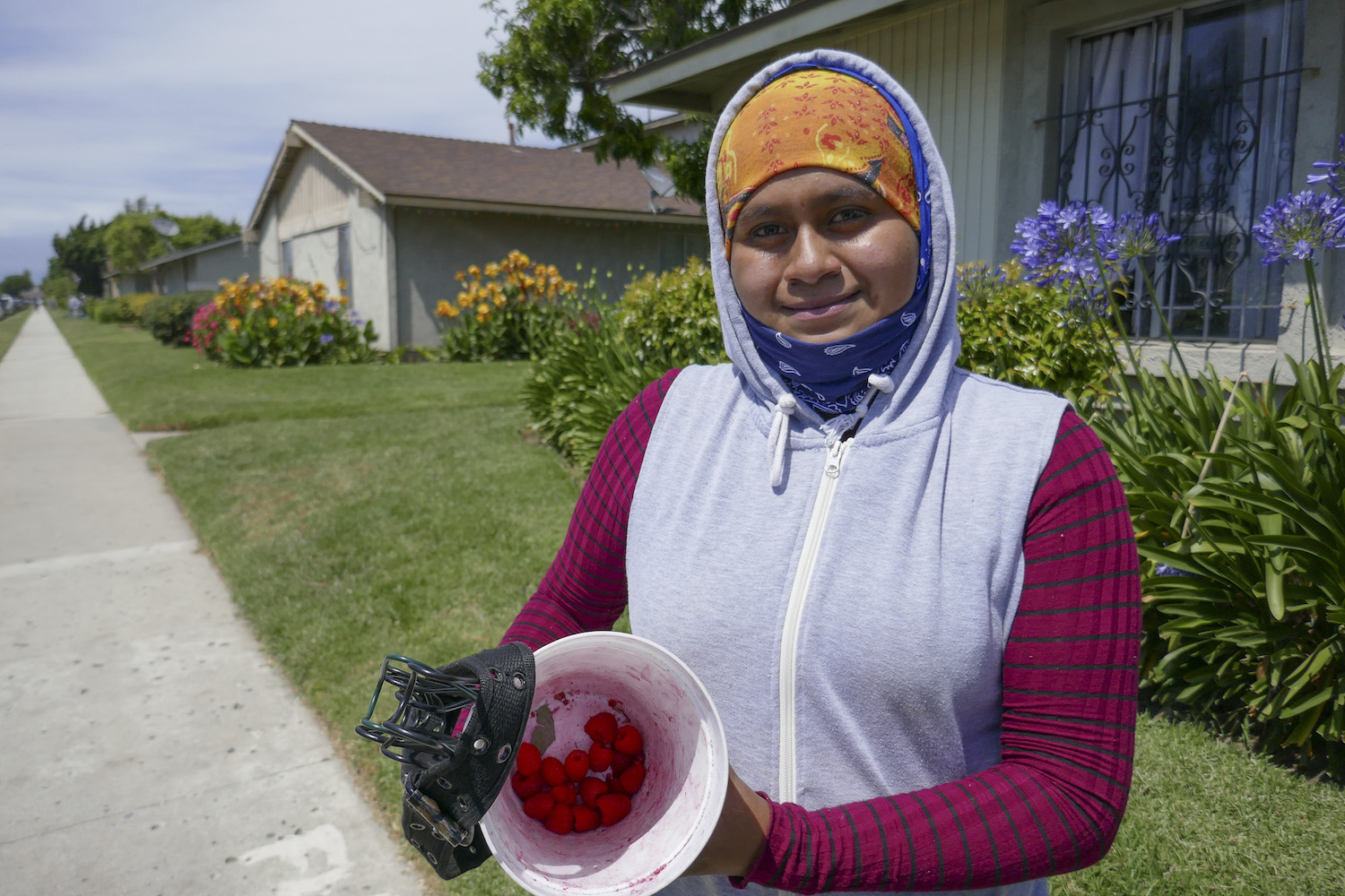 Carla Diaz holds a container of raspberries June 2020