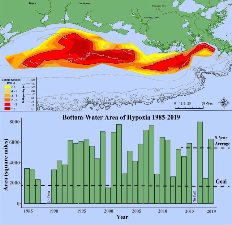 Hypoxia and Gulf of Mexico dead zone June 2020