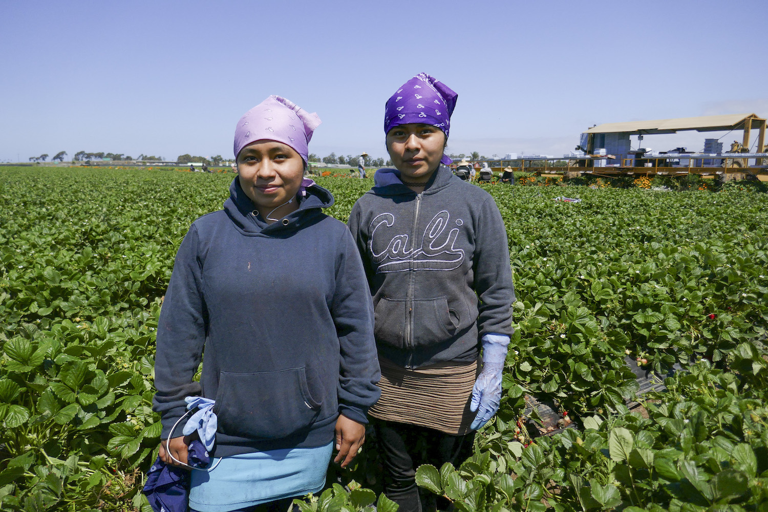 Maria and Jennifer Salvador in strawberry field Oxnard, CA June 2020