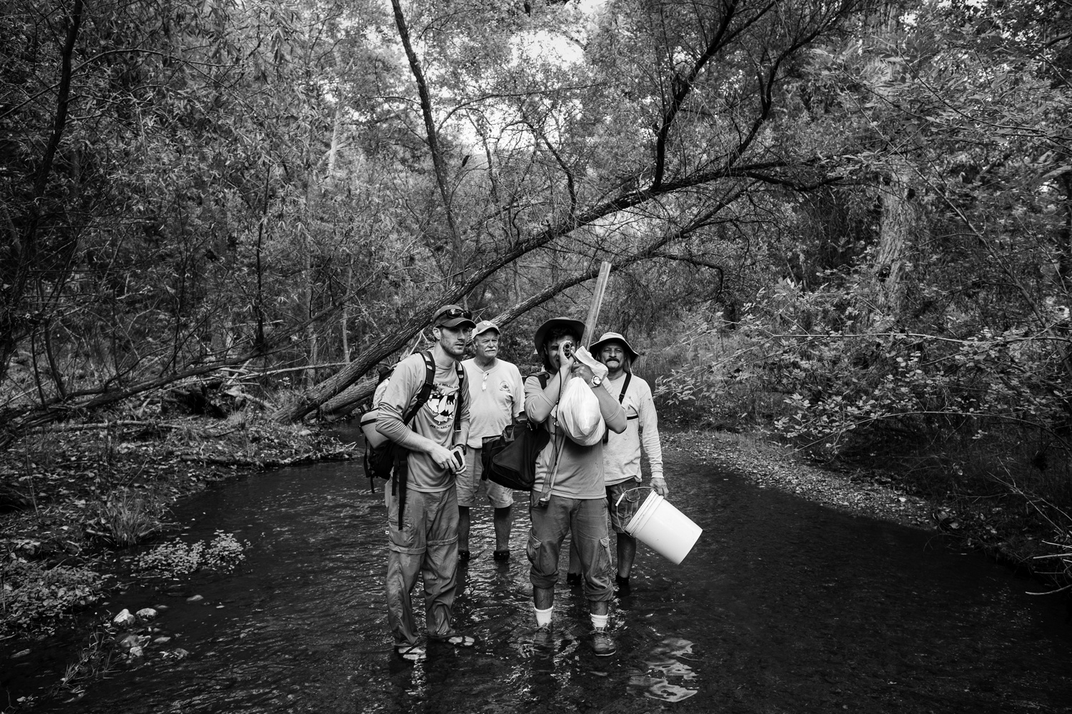 A team of four biologists doing fieldwork for the Yaqui catfish stand in a shallow stream.