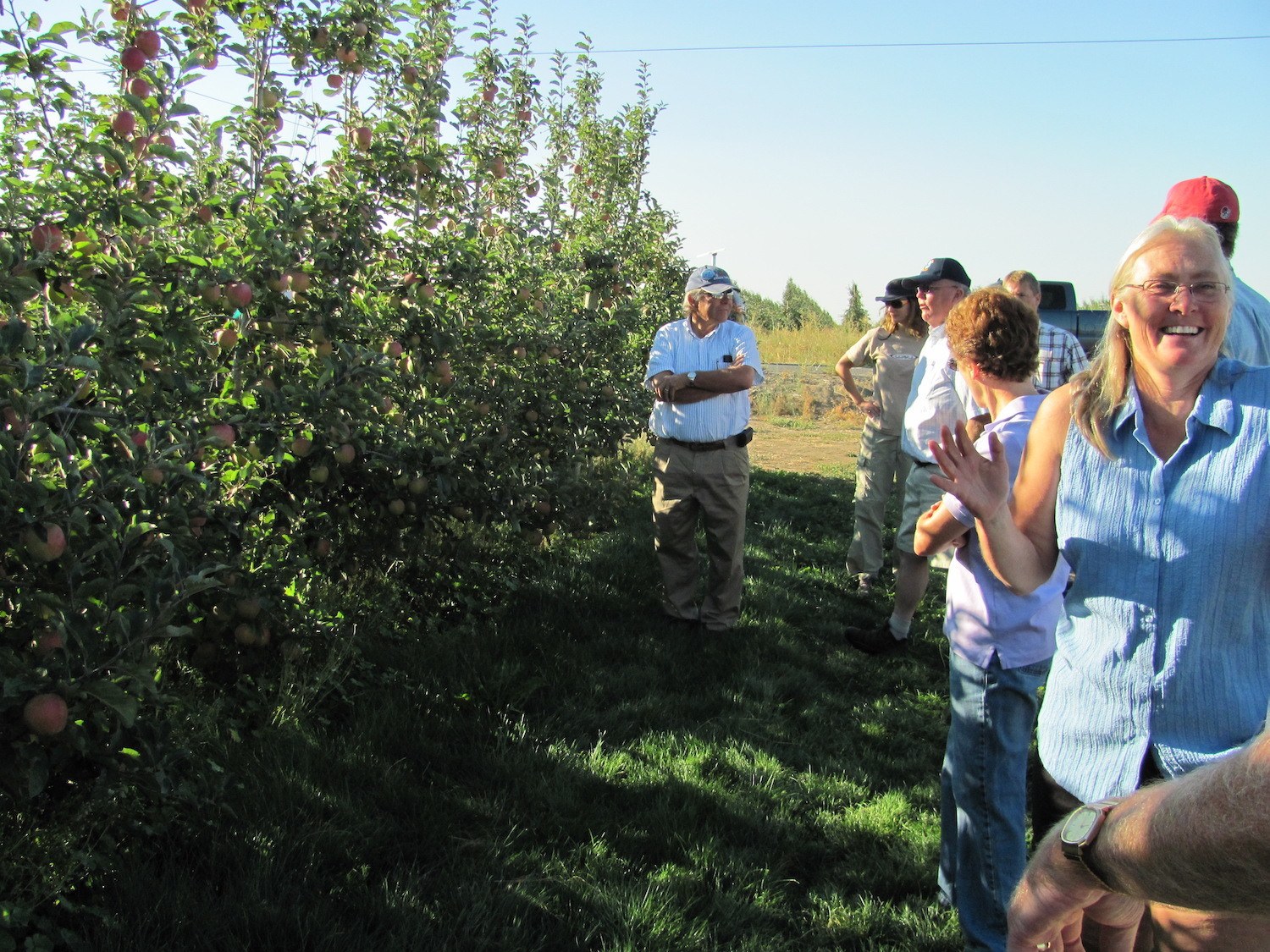 apple growers discuss pros and cons of new selections July 2020