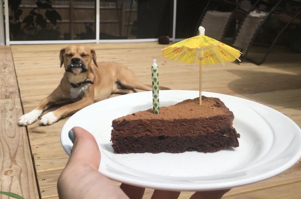 Weber's birthday cake with a candle and decorative umbrella on a plate with a dog on the porch August 2020