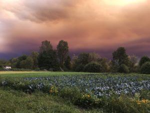The skies to the south of Persephone Farm on Tuesday at 3:30 p.m.