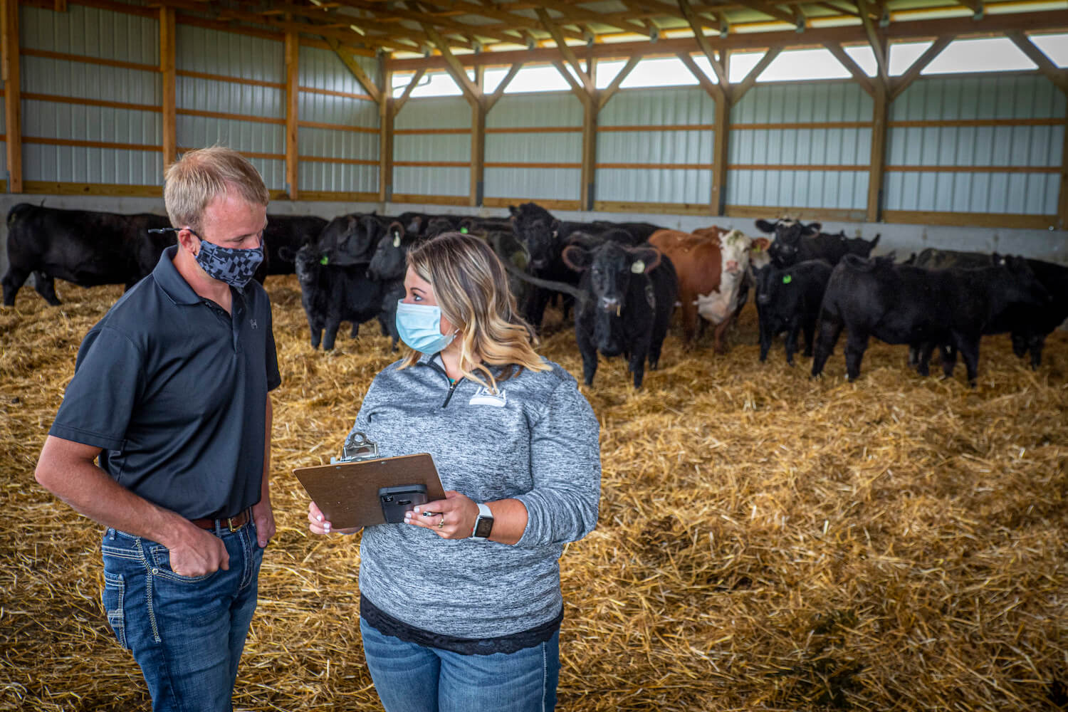 Queen Anne’s County Maryland Farm Service Agency Key Program Technician Jessica Clarke talks with Ethan Whiteside, Owner/Operator of WF Angus who has an active Environmental Quality Incentives Program (EQUIP) contract with NRCS and recently applied for FSA’s Coronavirus Food Assistance Program. September 2020