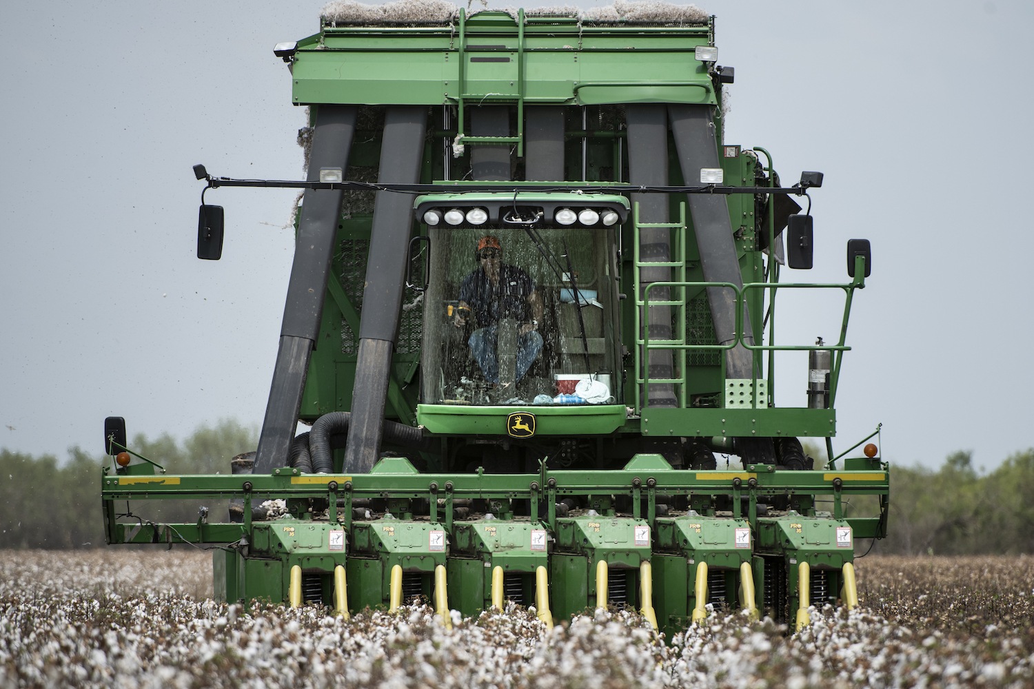 cotton harvesting in Batesville, TX, on August 22, 2020.