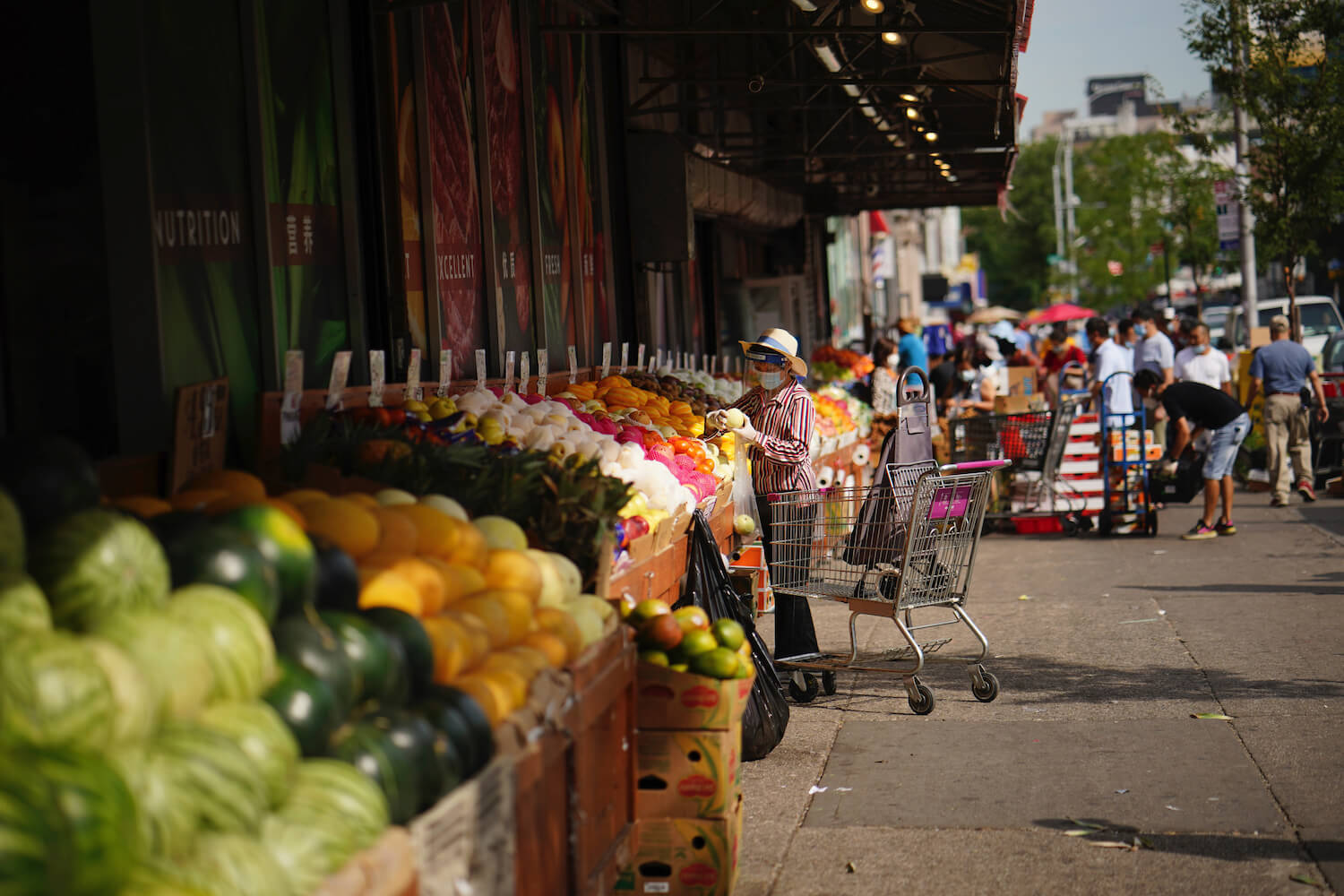 Shopping for groceries during Covid-19 pandemic in Queens, NY