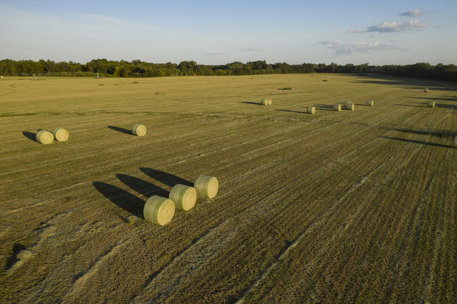 hay harvest in Macdona, TX. September 2020