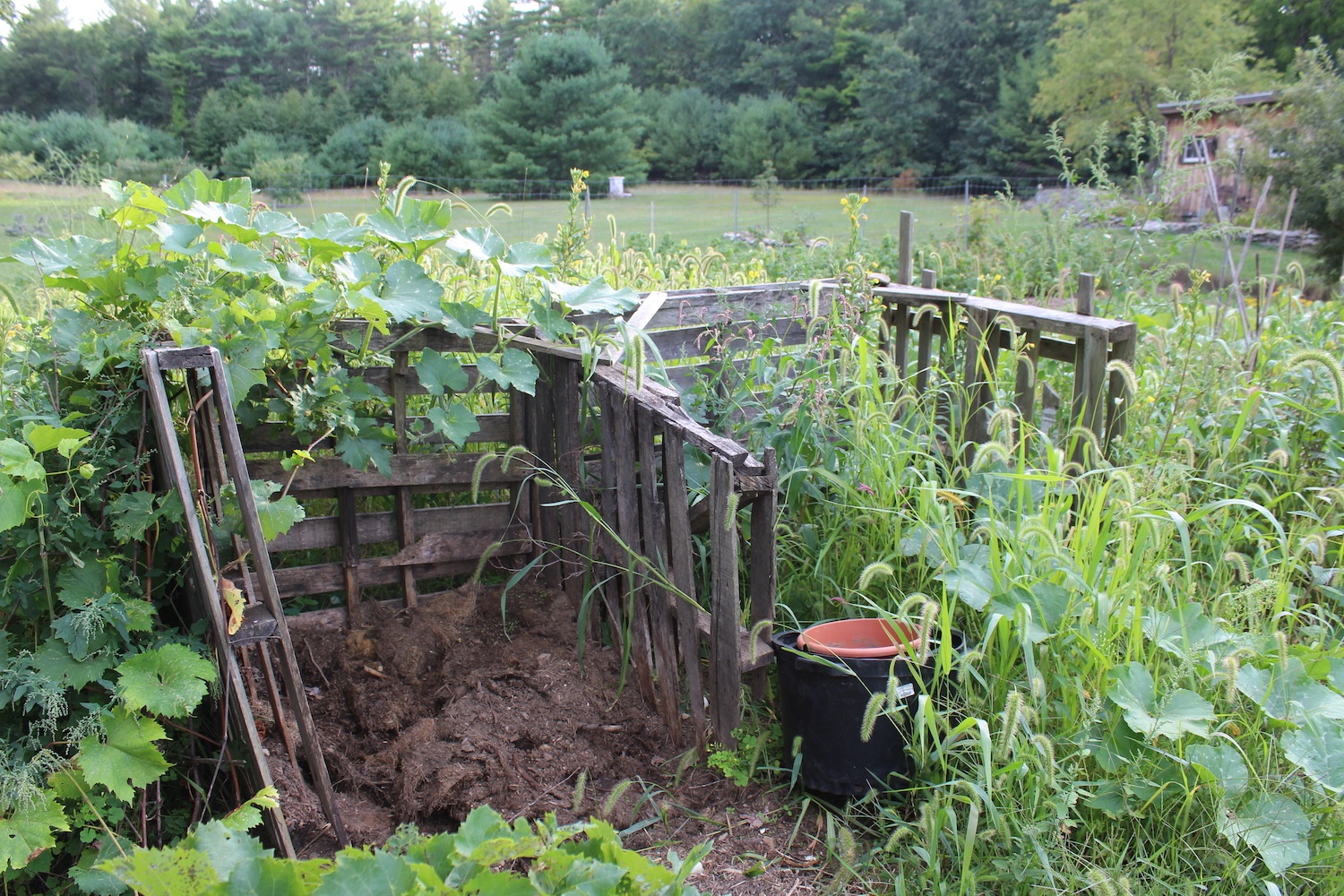the garden where compost remains go to the earth and provide nutrients for the soil September 2020