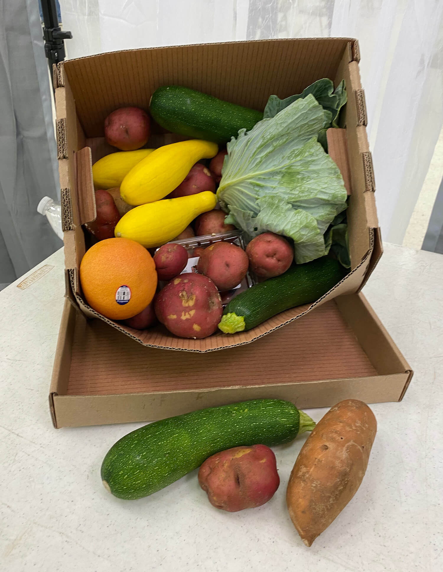 A box of vegetables and fruit, part of the Families Food Box Program. September 2020