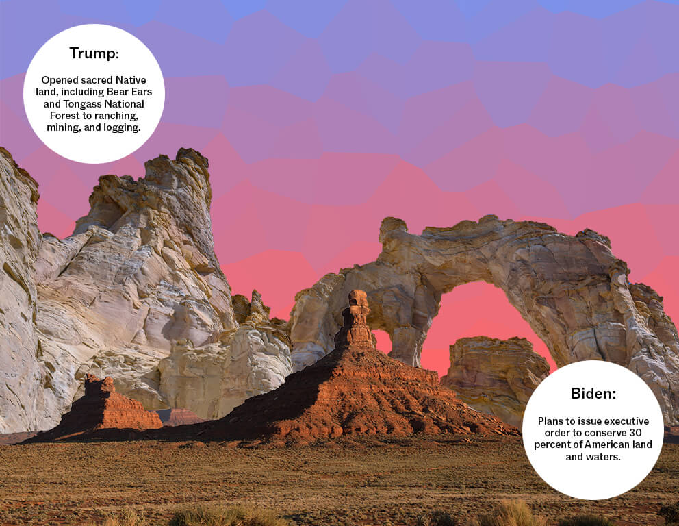 Bear Ears and Grosvenor Arch cut-outs of Native land opened for logging, mining, and ranching. Trump versus Biden policies on a gradient blue and red background. November 2020