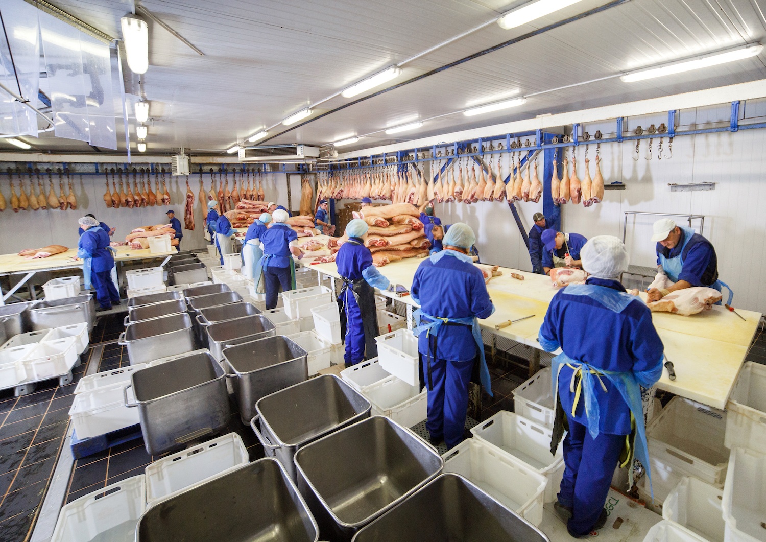 Cutting meat in slaughterhouse. Butcher cutting pork at the meat manufacturing. December 2020