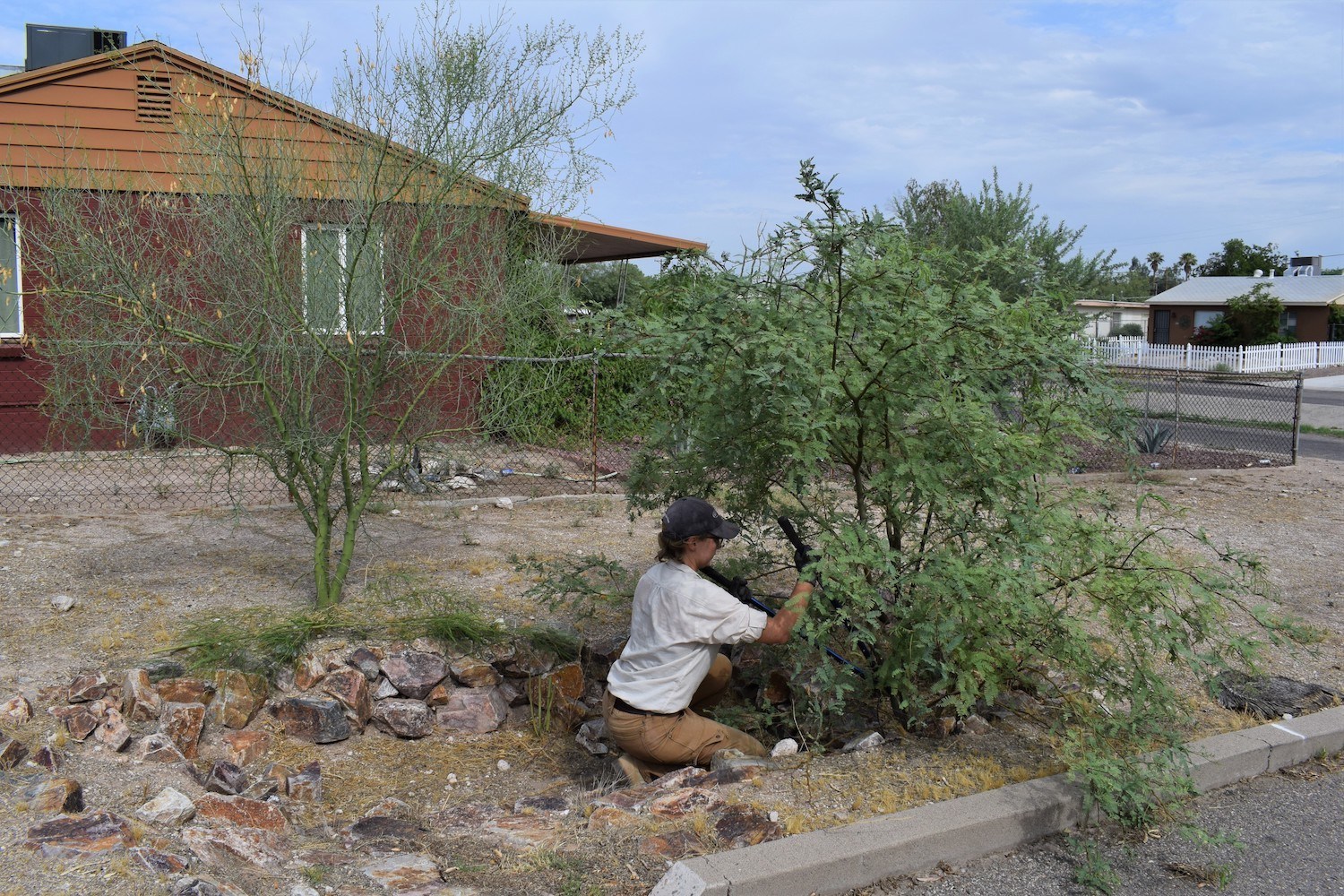 Madeline Ryder planting mesquite in an in-ground rainwater harvesting basin in the Sugar Hill neighborhood of Tucson, Arizona. December 2020
