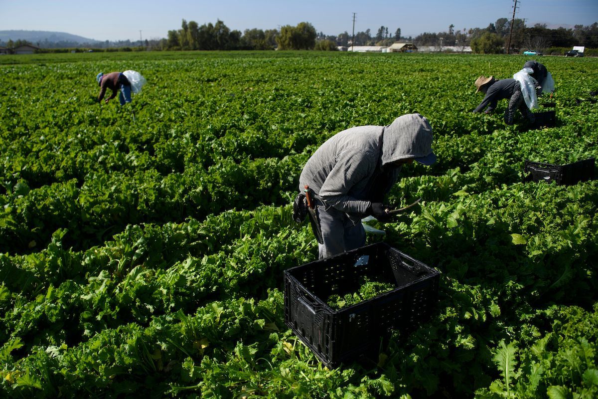 Nation’s first mandatory farmworker hazard pay gains approval