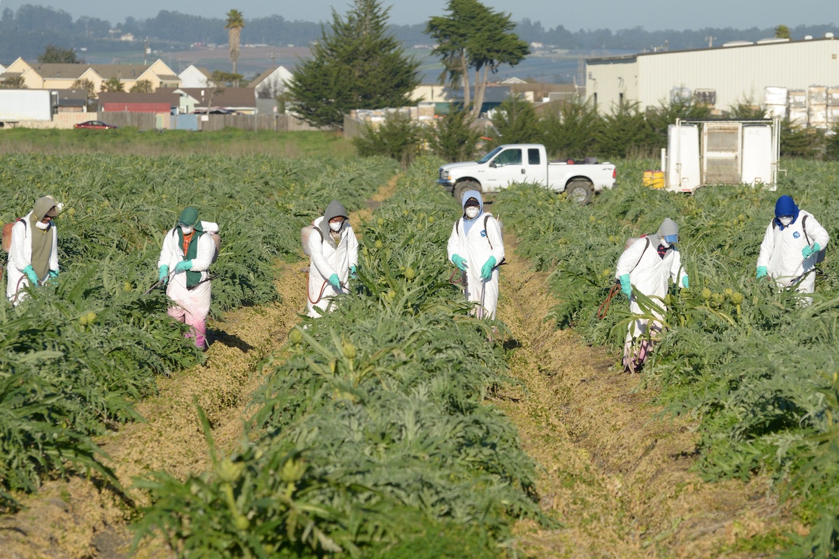 Migrant Farm Workers And Pesticides