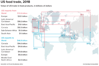 How Has The Pandemic Strengthened The Global Food Supply Chain?