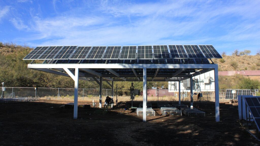 The fascinating, mysterious science of combining farms and solar panels