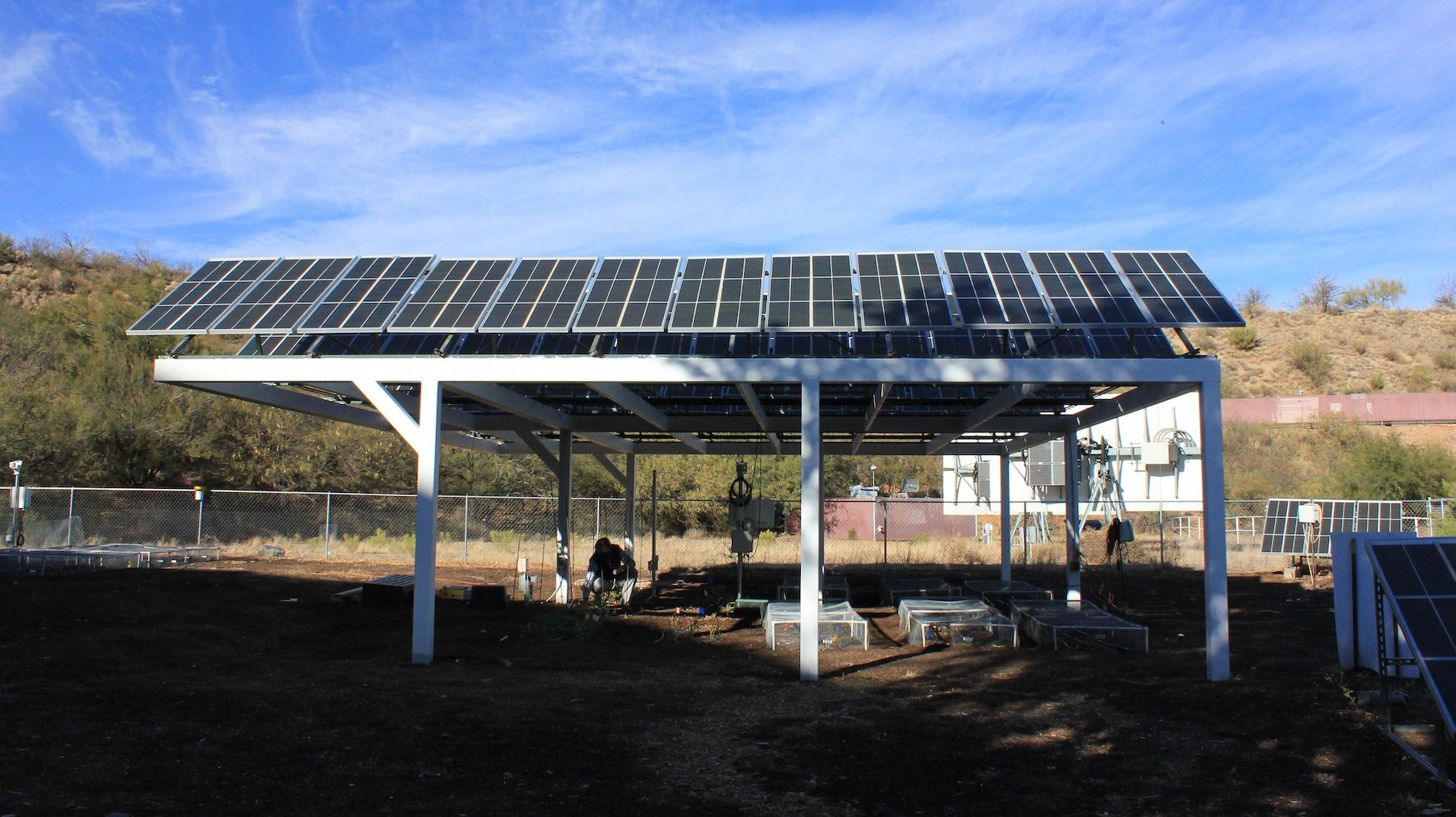 An experimental garden plot at the University of Arizona's Biosphere 2 complex. In agrivoltaic systems, the partial shade created by solar panels can benefit some crops in some climates.