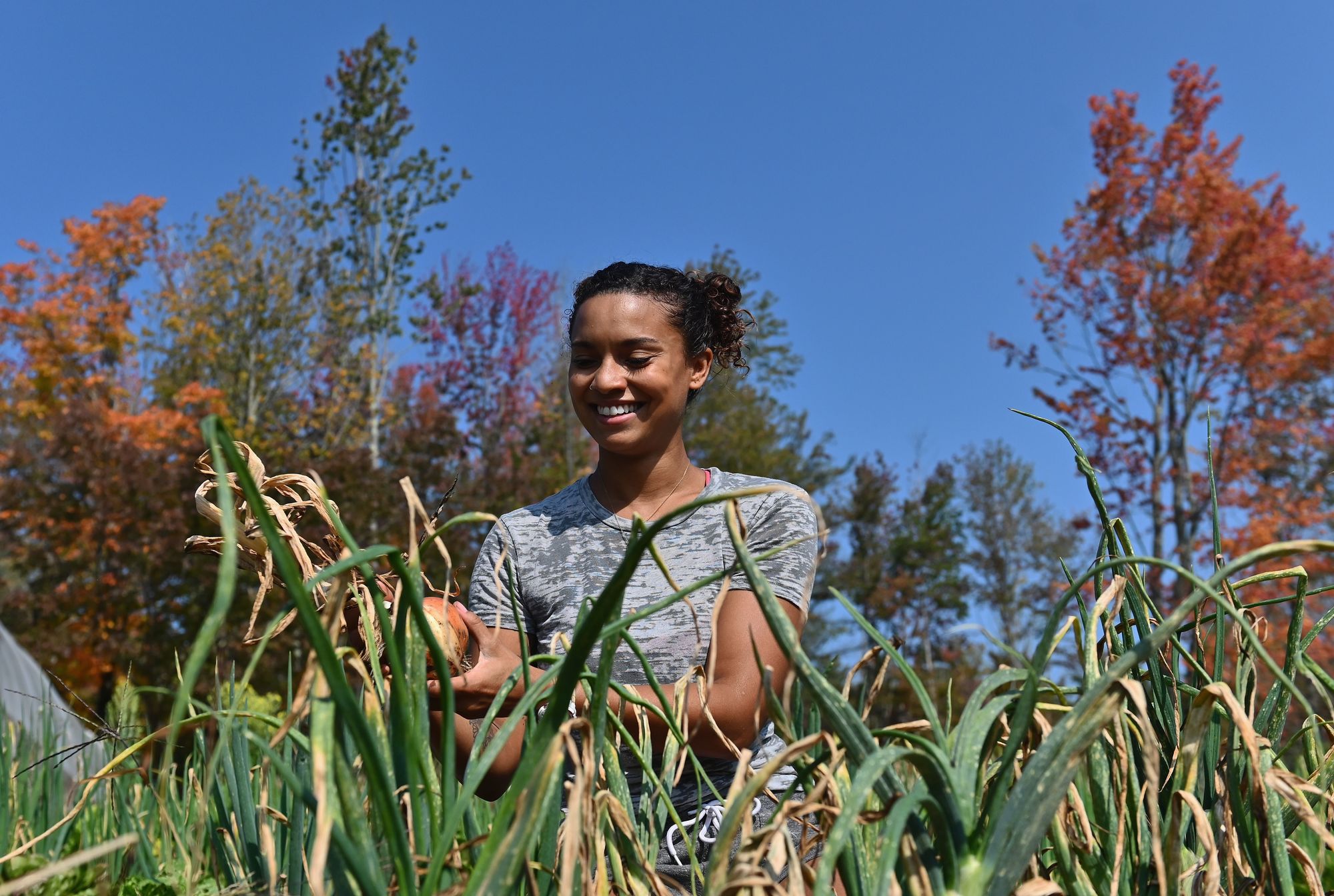 Brooke Bridges, assistant kitchen manager at Soul Fire Farm and public speaker harvests onions on September 25, 2020 in Petersburg, New York.