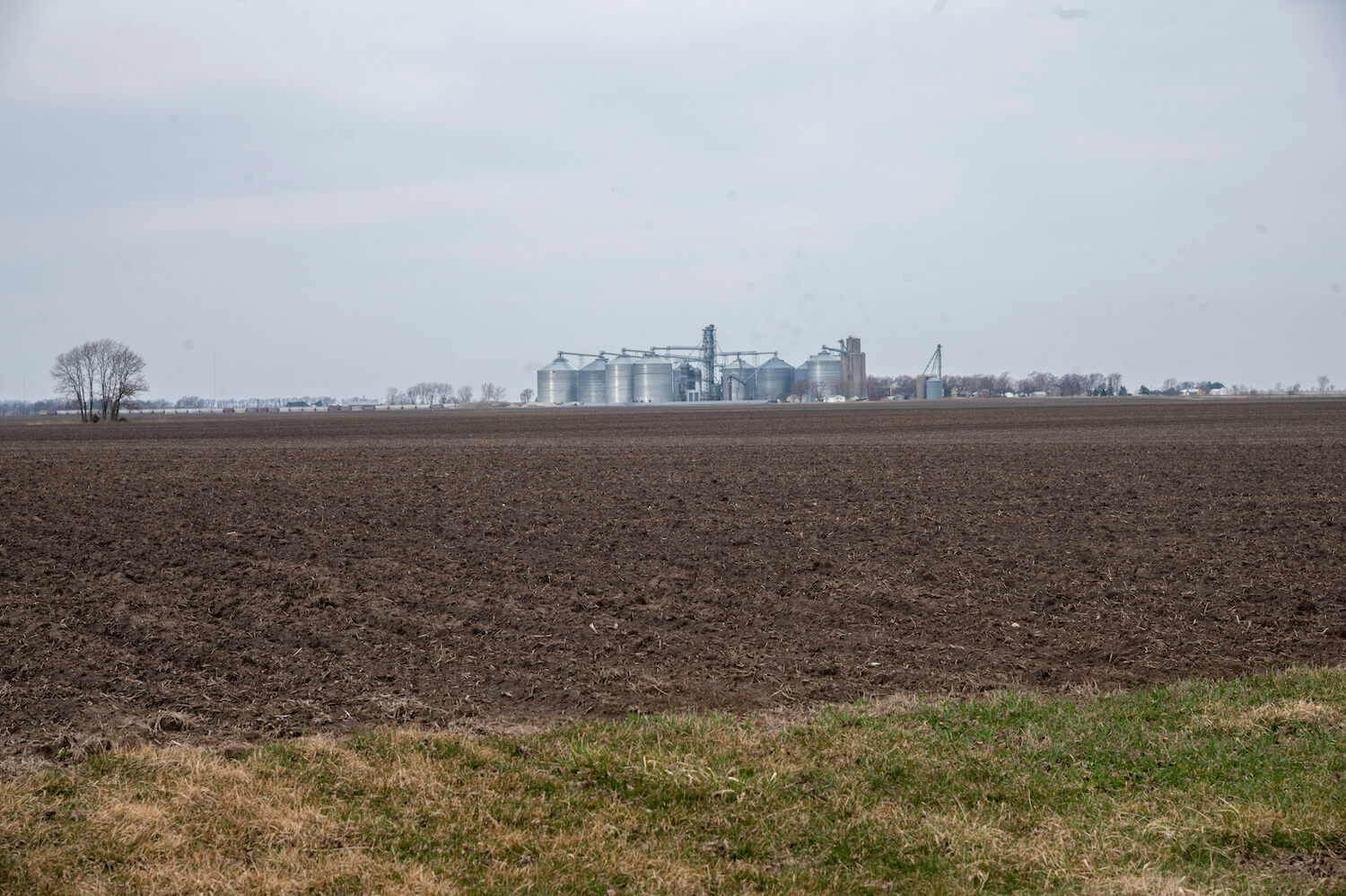 Farm acreage at the northeast corner of 600E and 700N, Bement, Il belonging to Baloo Enterprises on Saturday, March 13, 2021. April 2021