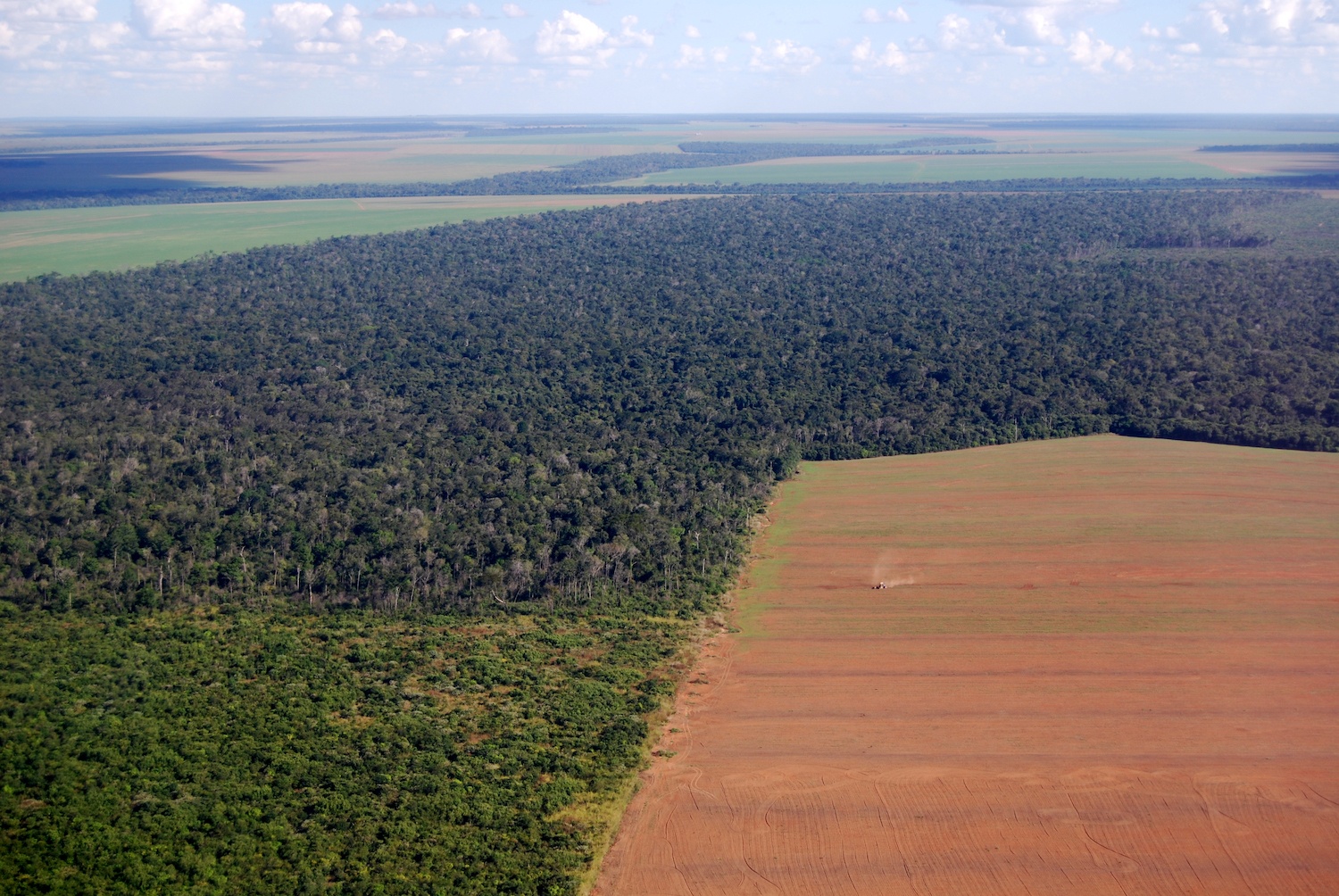 Aerial view of Amazon deforestation in Brazil. March 2021