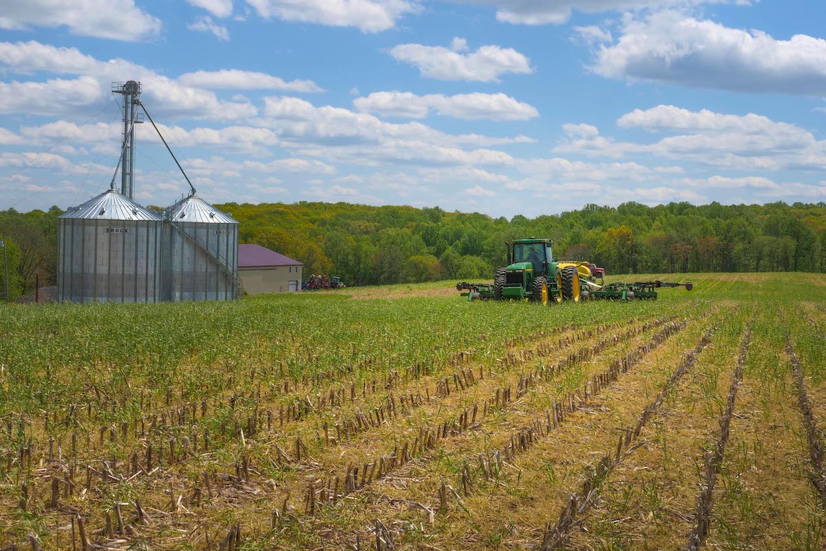 graphic-nearly-all-cash-crops-are-genetically-engineered-now-the-counter