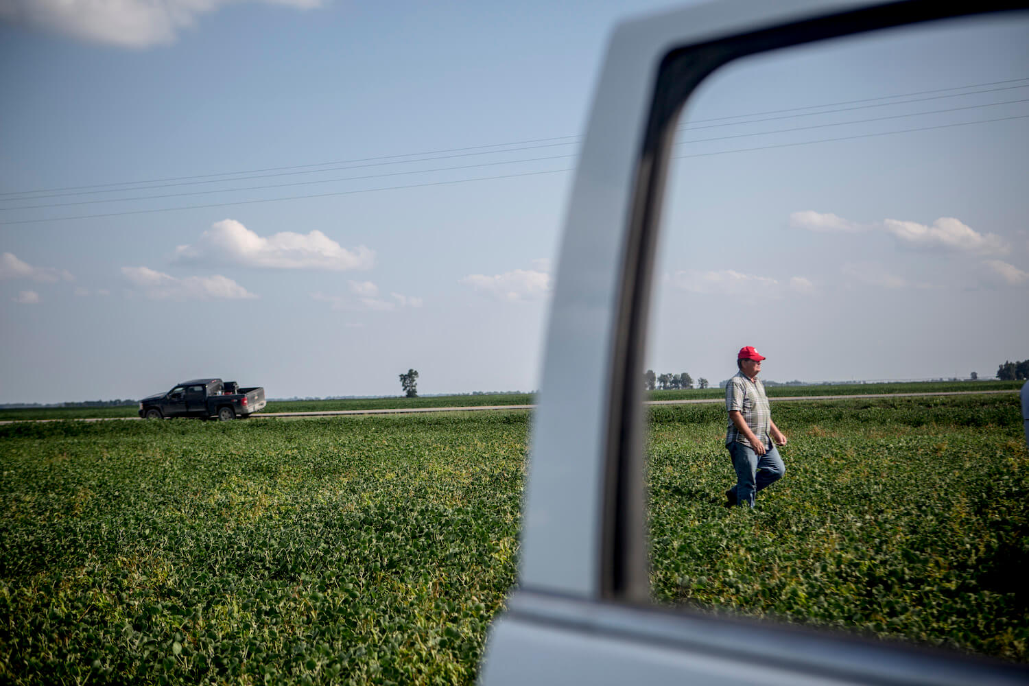 August 9, 2017: Lyle Hadden, a soybean farmer, walks through a field he's planted that shows signs of being affected by Dicamba. Dicamba, a weed killer that has been used for over 50 years, is now having a devastating impact in Arkansas and neighboring states because because the Monsanto is now selling new soybean and cotton varieties that have been genetically altered to tolerate Dicamba. While Arkansas voted to put a ban in place, farmers continue finding fields bearing the effects of the herbicide. April 2021