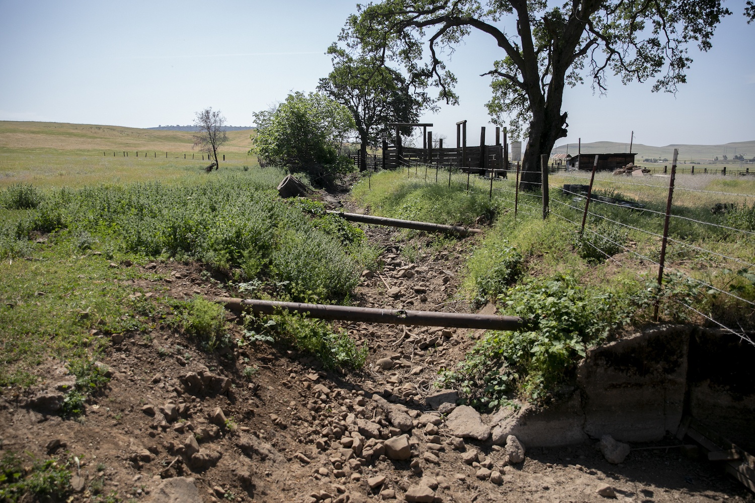 A creek that once ran through Megan Brown’s property is already dry before the summer comes on April 22, 2021. May 2021