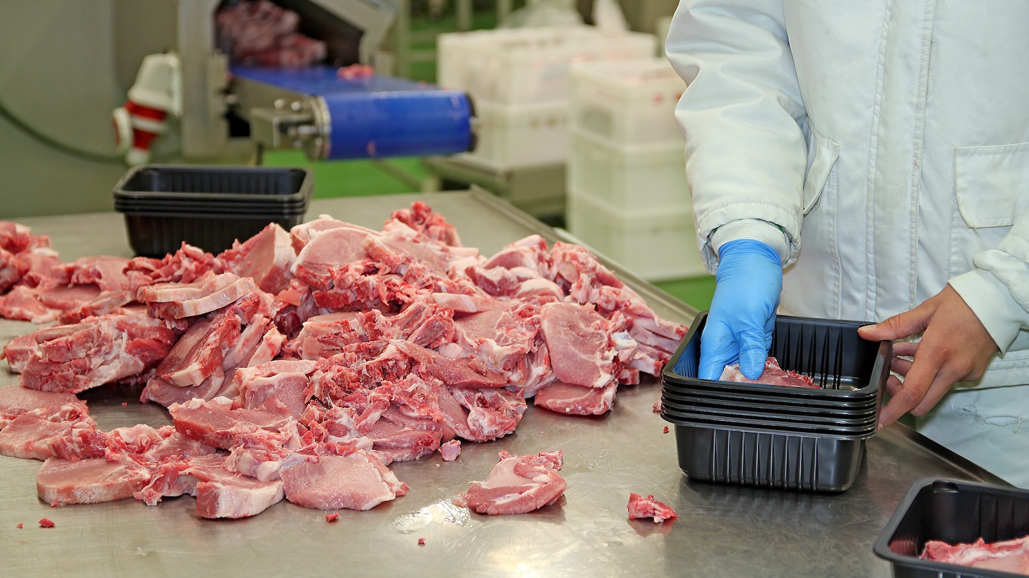 Fresh raw pork chops in meat factory. Meat processing in food industry. Packaging of raw meat on the production line. May 2021
