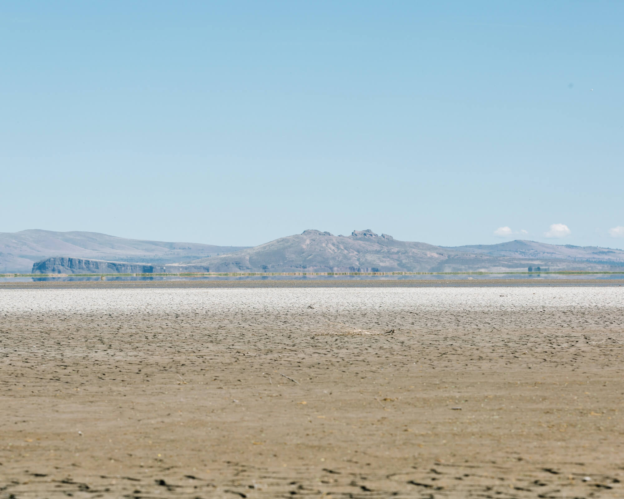 Tule Lake National Refuge on May 28, 2021, in California, near the Oregon border, has been severely impacted by the drought and the lack of irrigation waters from Upper Klamath Lake, which usally feed into the refuge. June 2021