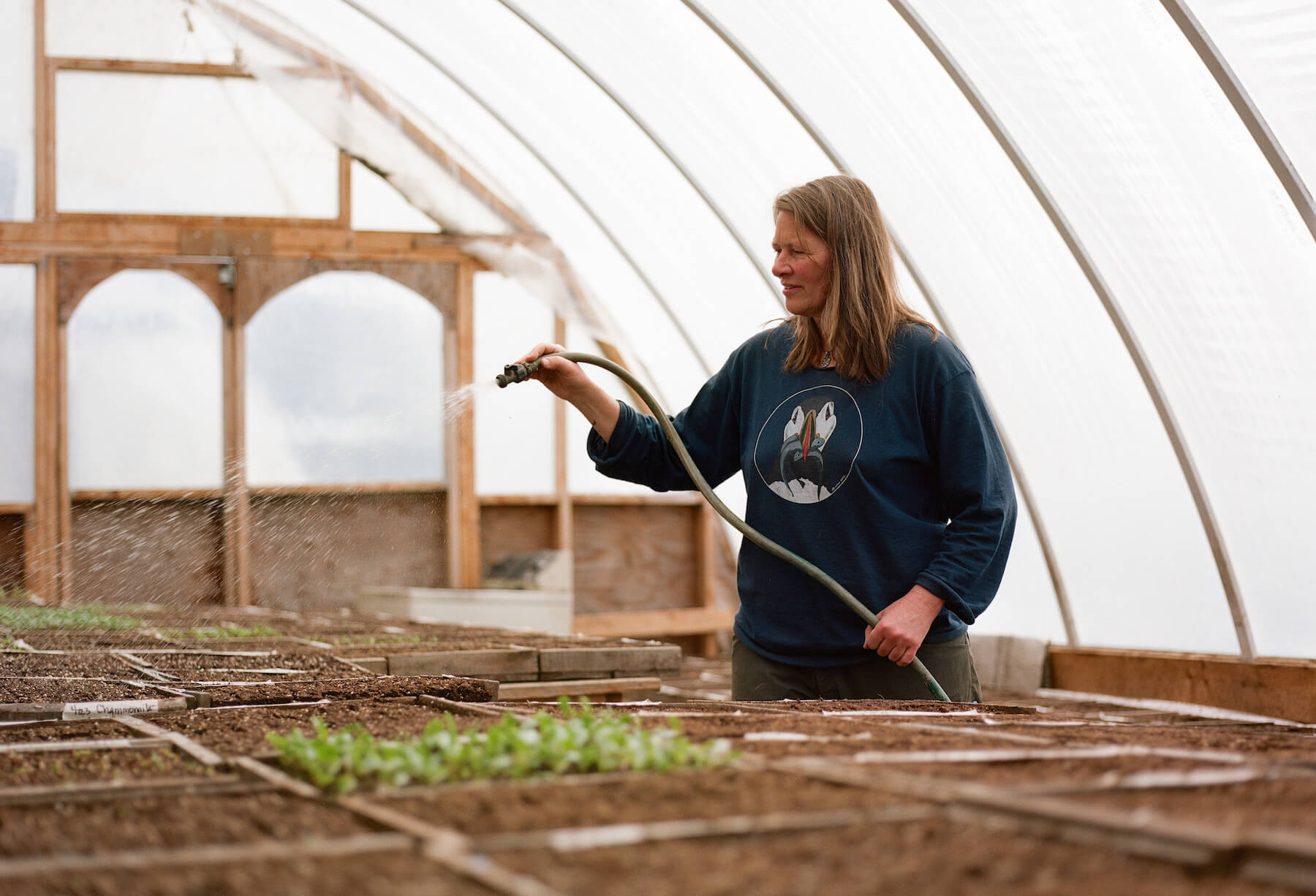 Susan Willstrud, co-founder of Calypso Farm, waters seedlings in late April.