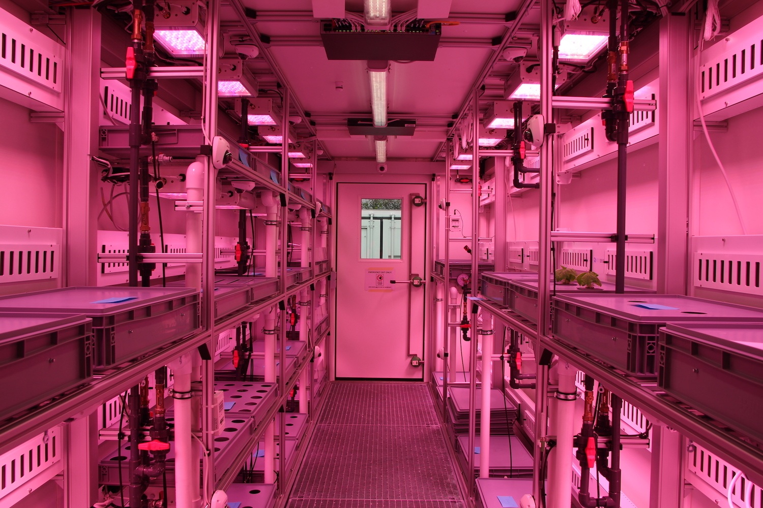 Inside the vertical farm at NASA greenhouse in Antartica. August 2021