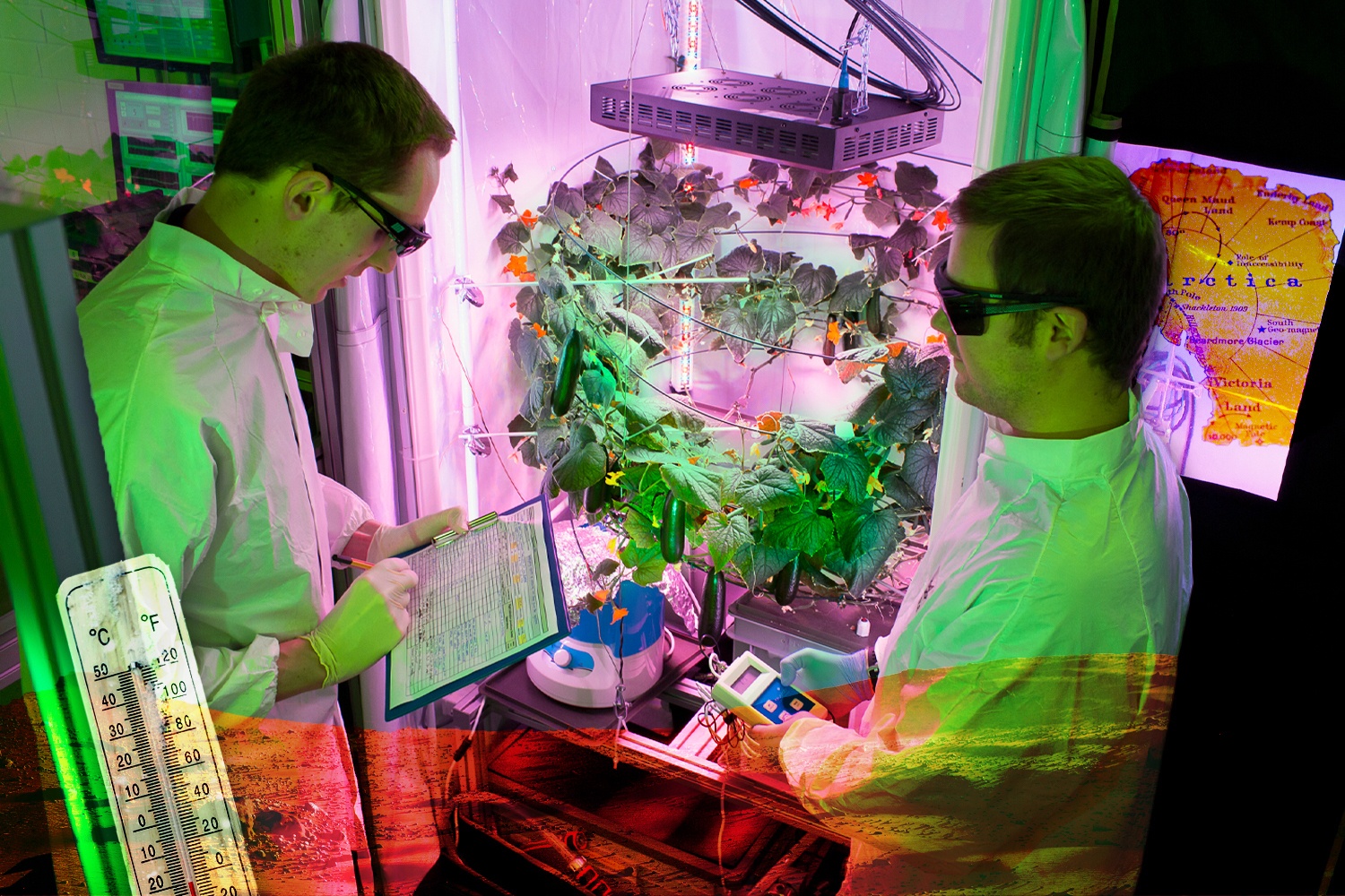 NASA scientists wearing white lab coats and black glasses exam a growing squash plant under LED lights in a lab in Antarctica. A yellow map of Antarctica is in the background, while a white thermometer sits in the foreground overlaying a texture of Mars. July 2021