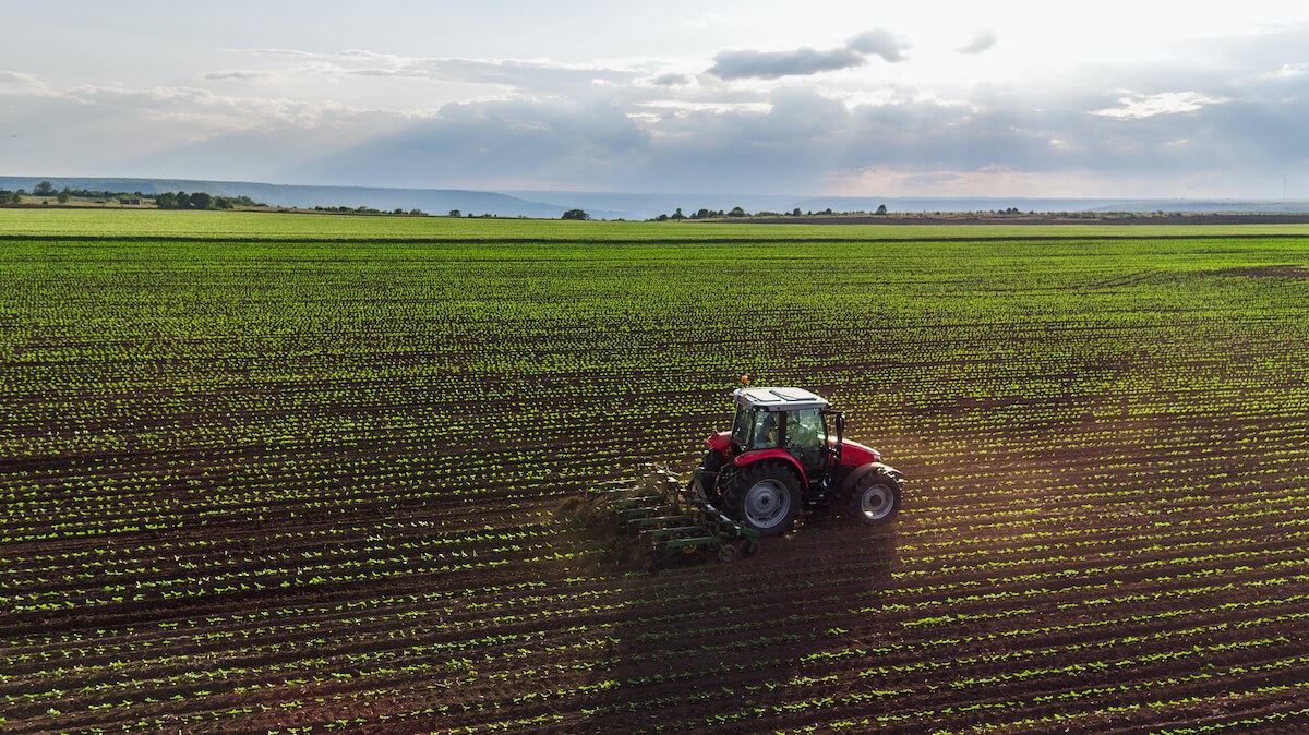 are commercial farms considered smb