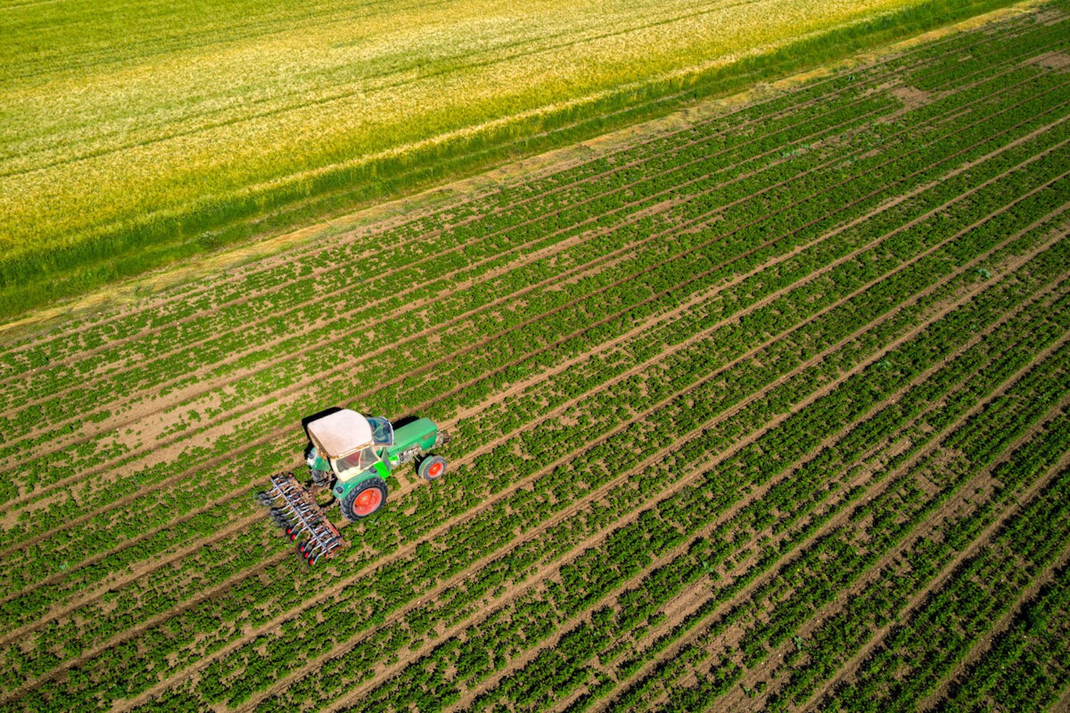 Aerial shot of a tractor over farmland. July 2021