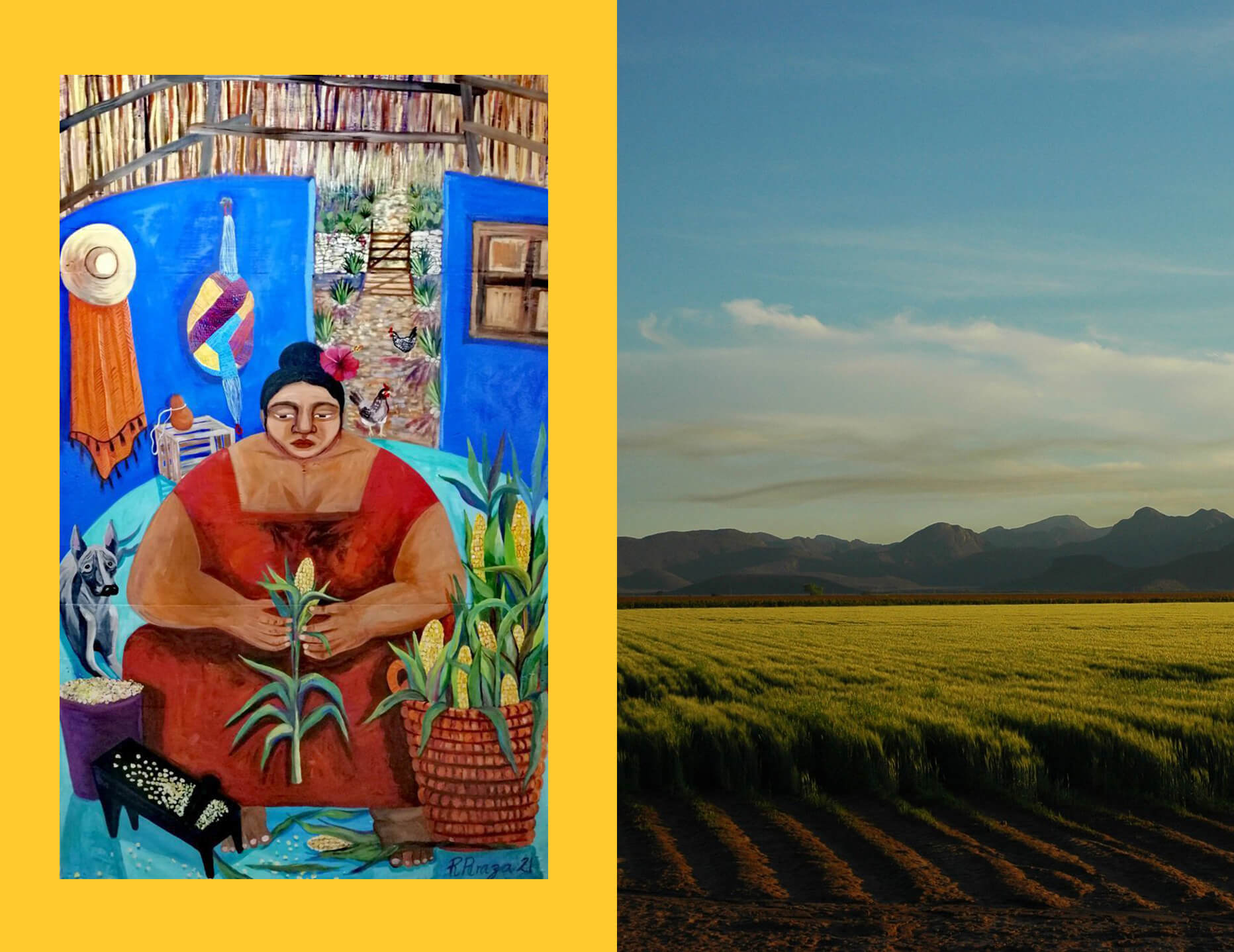 A mural of an indigenous woman shelling corn by Rosy Peraza Rios on the left. And an image of corn fields in Sonora, Mexico on the right. July 2021