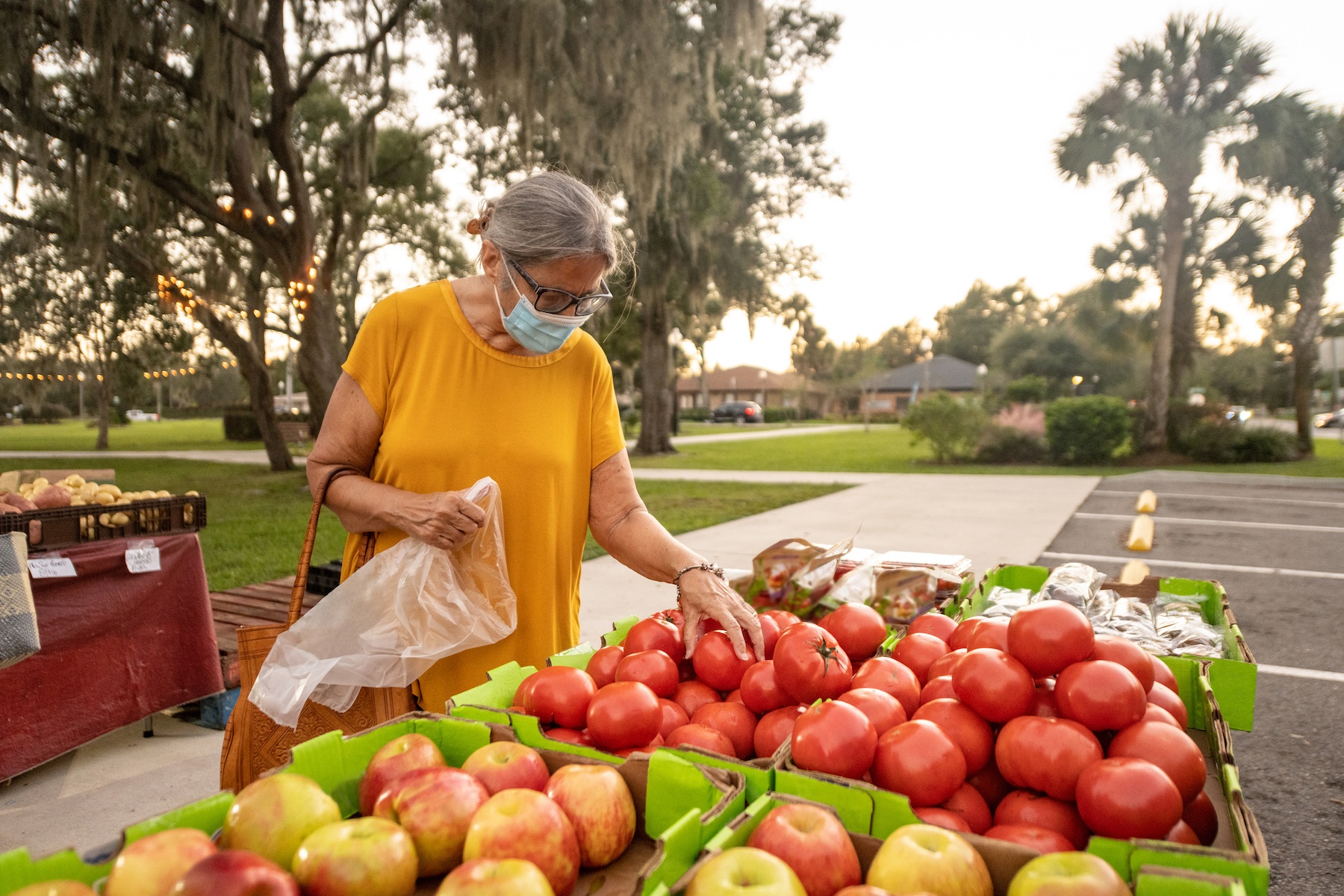 A senior woman of color picks tomatoes at a farmer's market in Apopka, Florida. August 2021