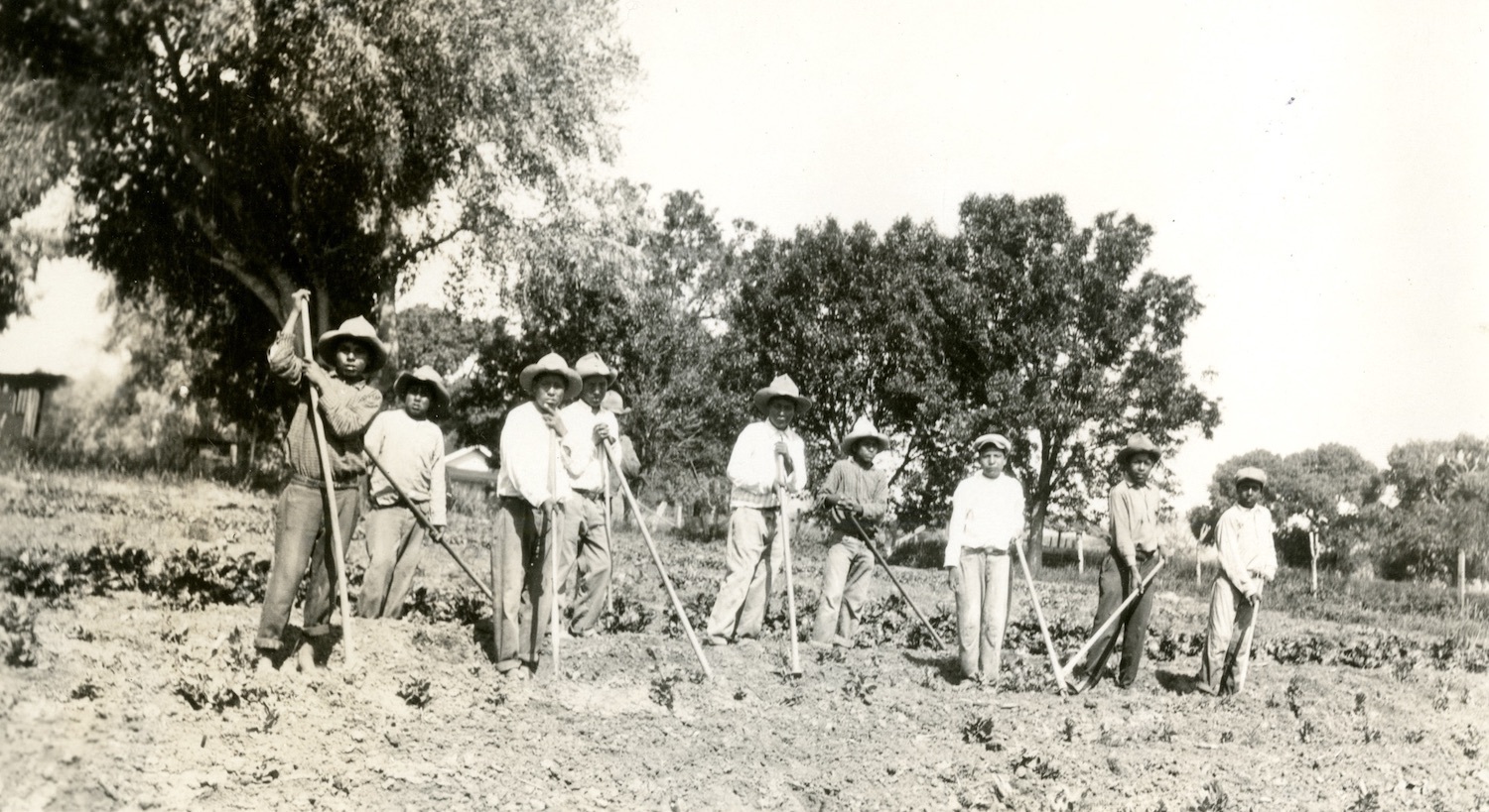 Black and white posed photo of workers standing with hoes/farm instruments. Archival. September 2021