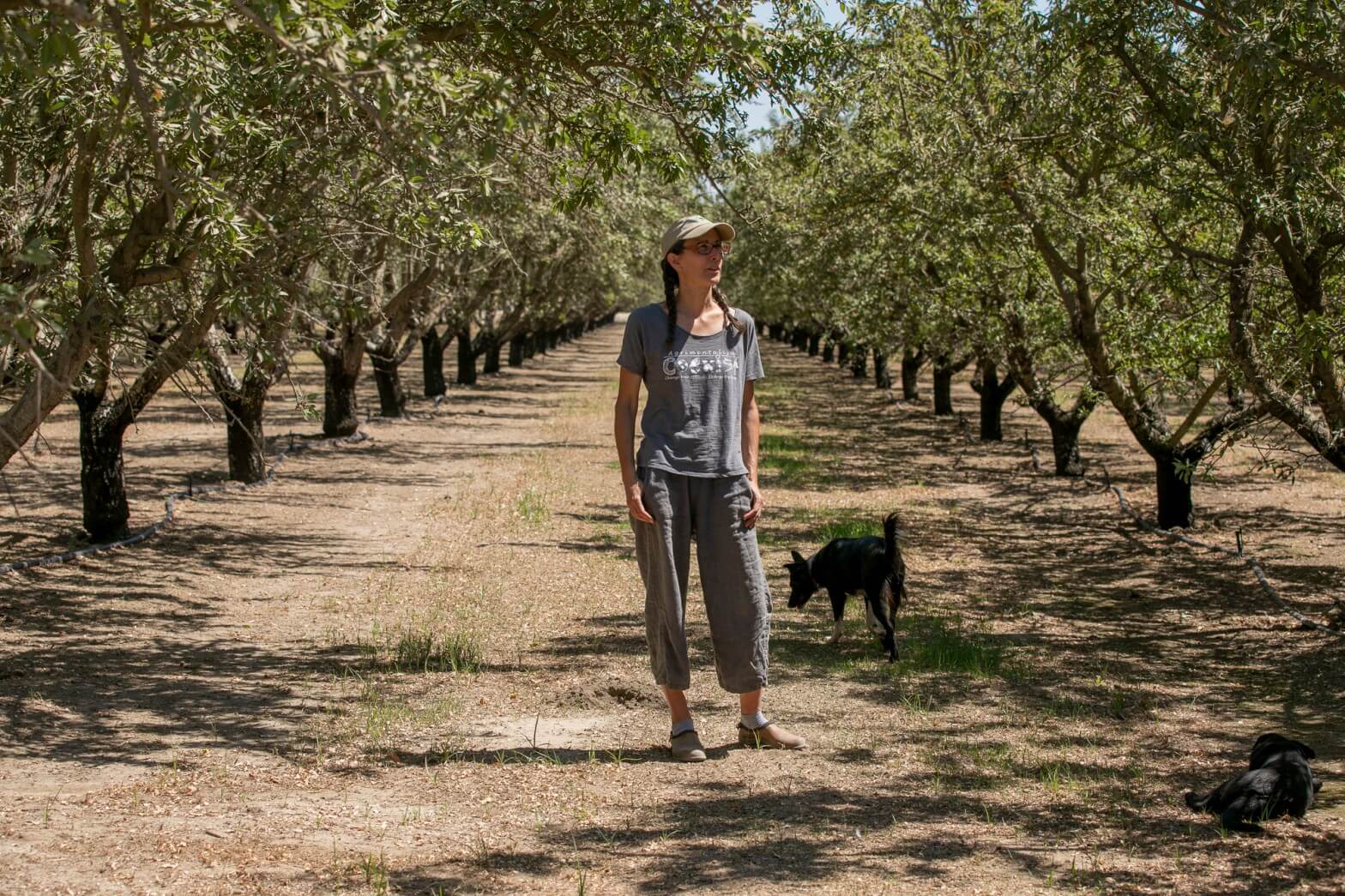 Grower Christine Gemperle, shown in her almond grove in Ceres, has experimented with new irrigation systems and almond breeds to cope with her dry, salty land.