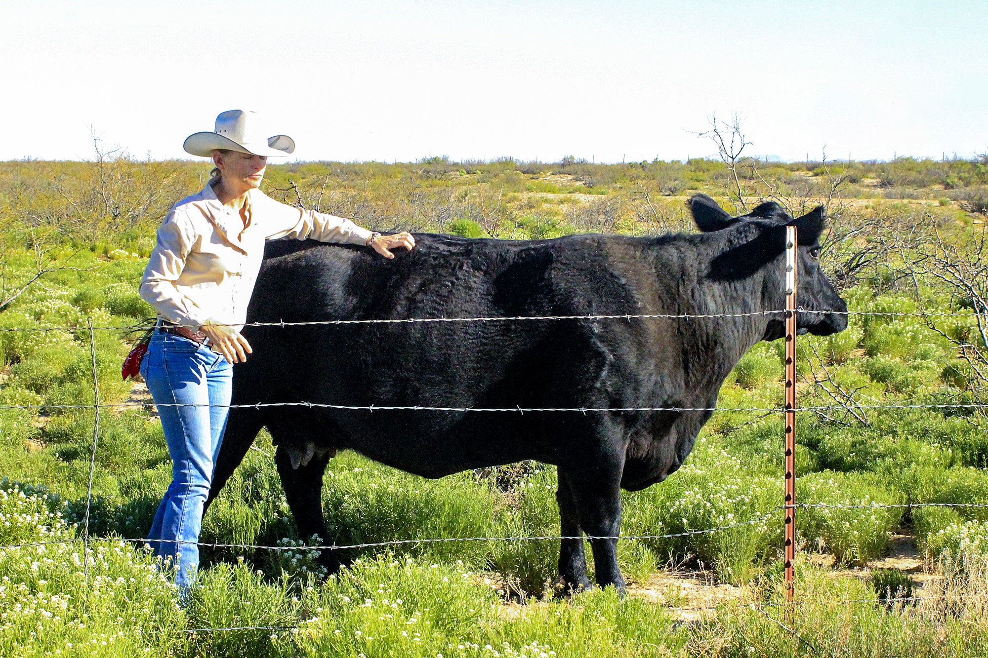 Sheri Spiegal portrait with black cow in a field. September 2021