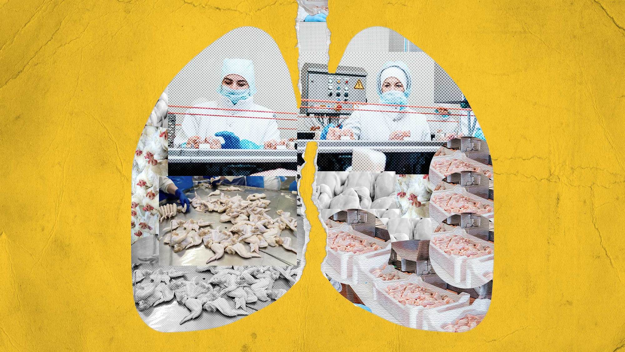 A graphic collage of two women at a processing plant, processed poultry, and a chicken production line with weathered yellow paper in the background. October 2021