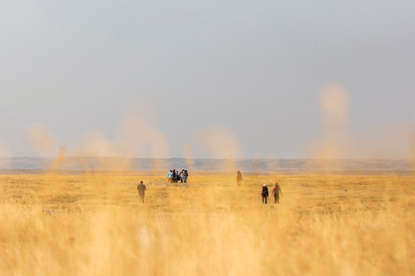 Collecting seeds to restore prairie grasslands The Counter
