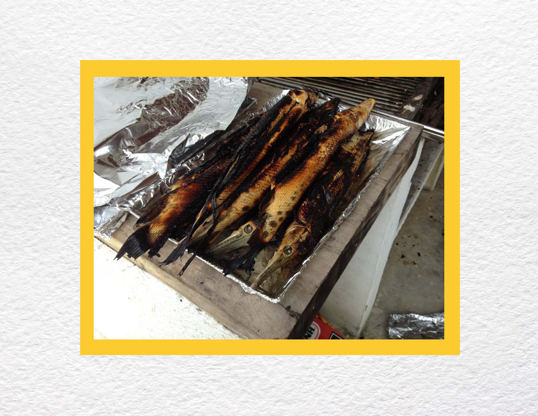 Grilled gar, a long-nosed fish species found in freshwater. October 2021