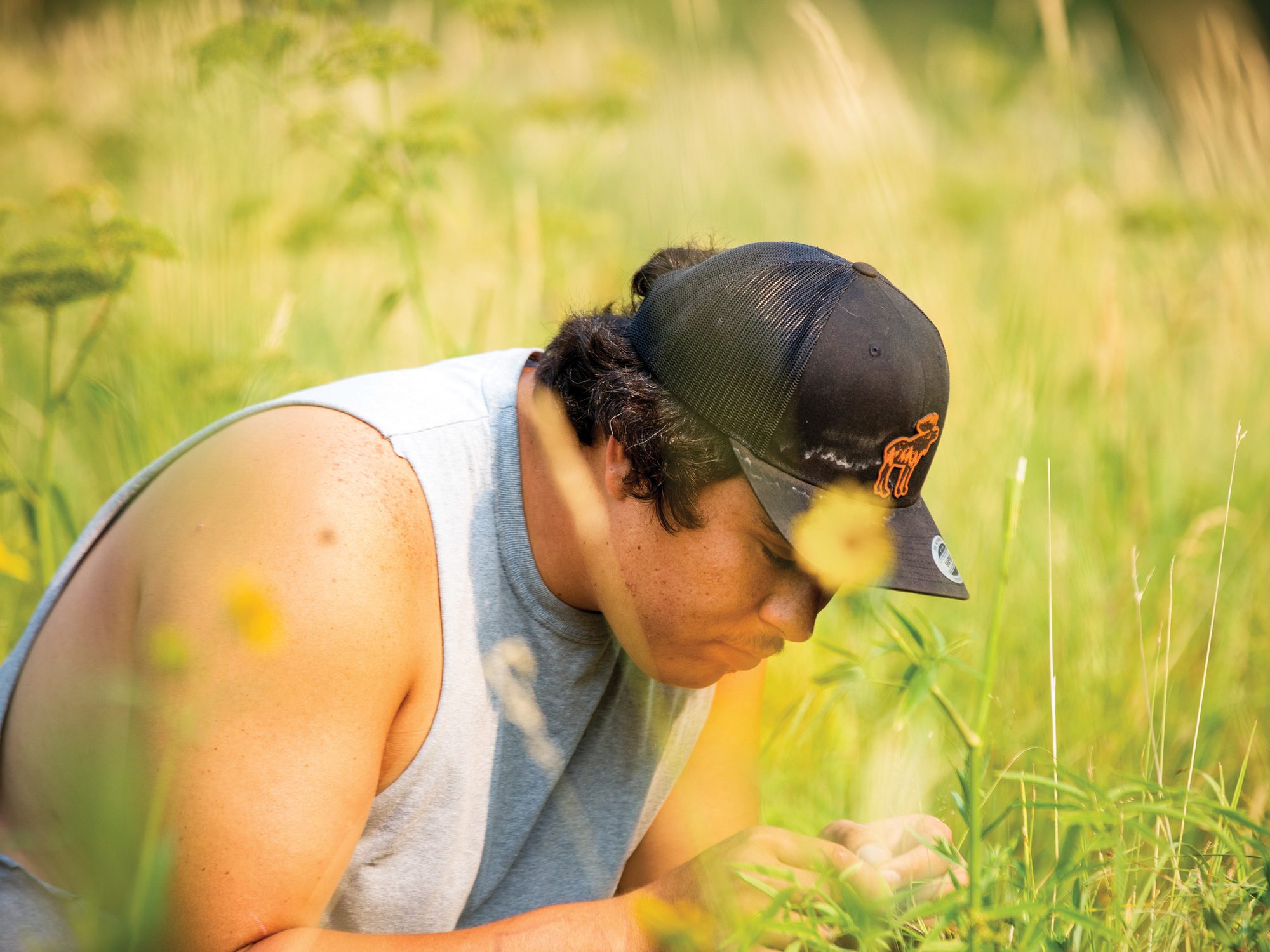 Tyrus Brockie, a member of the Aaniih Tribe, collect seeds on the Fort Belknap Reservation in Montana as part of a grasslands restoration partnership between the Fort Belknap Indian Community and the Bureau of Land Management. October 2021