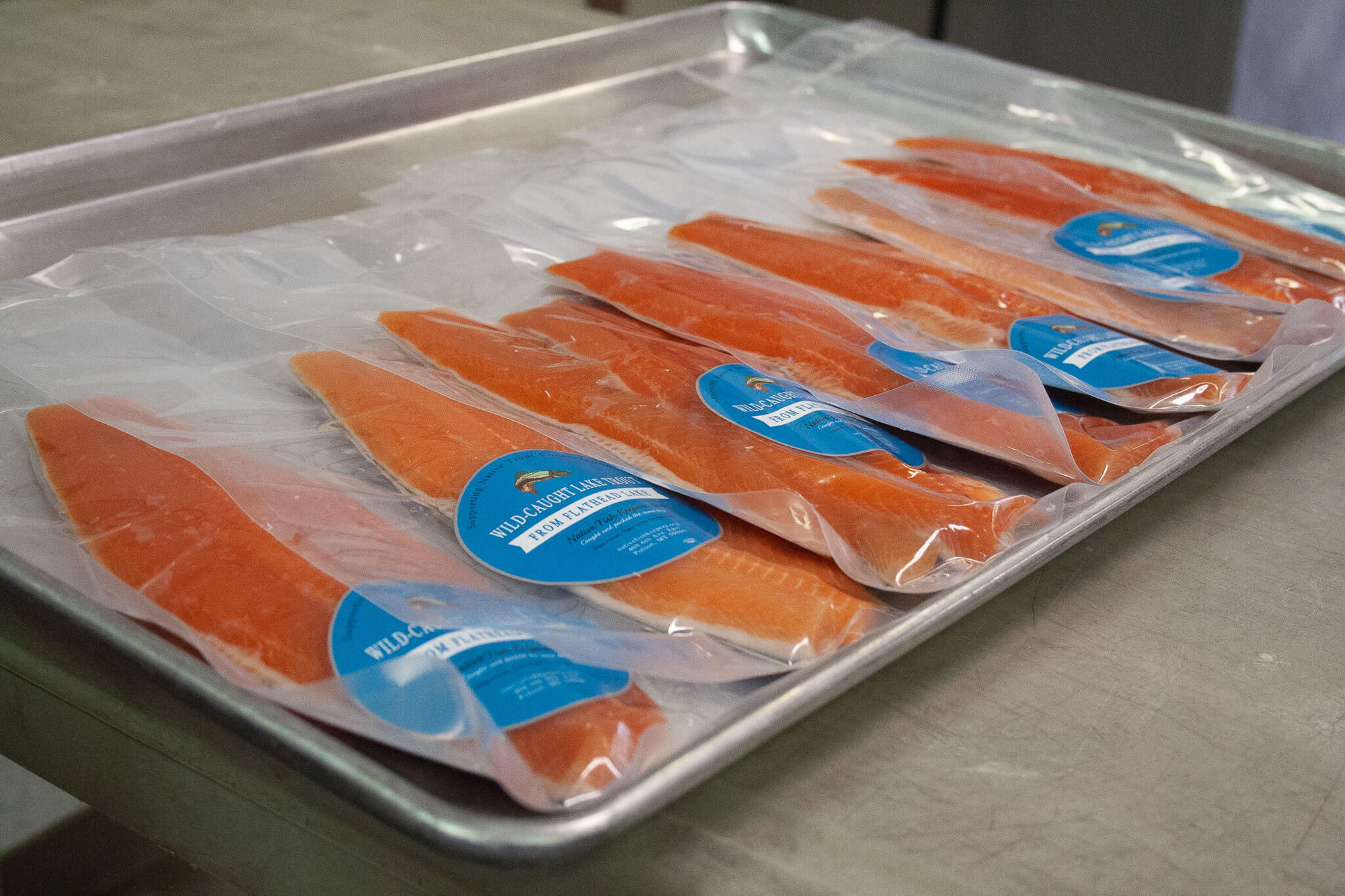 Processed and packaged lake trout. November 2021
