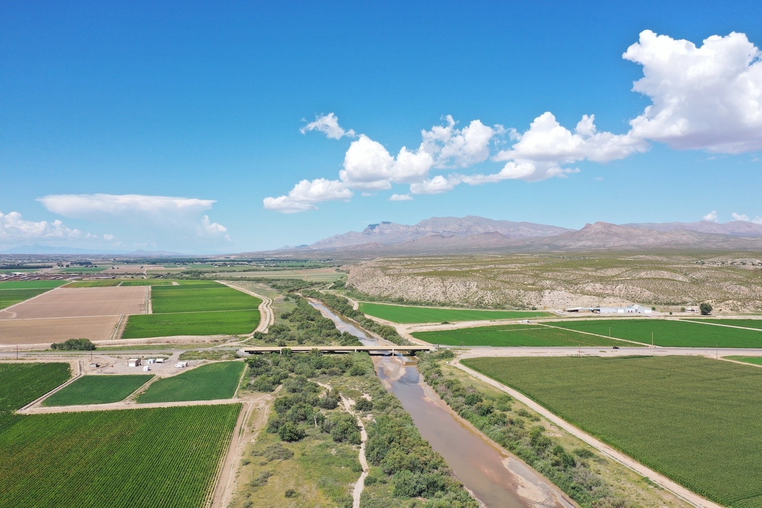 The Rio Grande flows between chile fields around Hatch, New Mexico. Jessie Moreno's father used to irrigate his chile fields with water from the river all growing season, but now Moreno must pump groundwater to irrigate, which is costly.