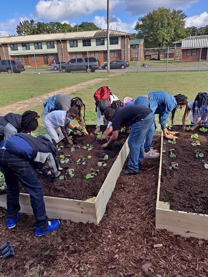 Sowing Seeds youth plant in raised beds. October 27, 2021