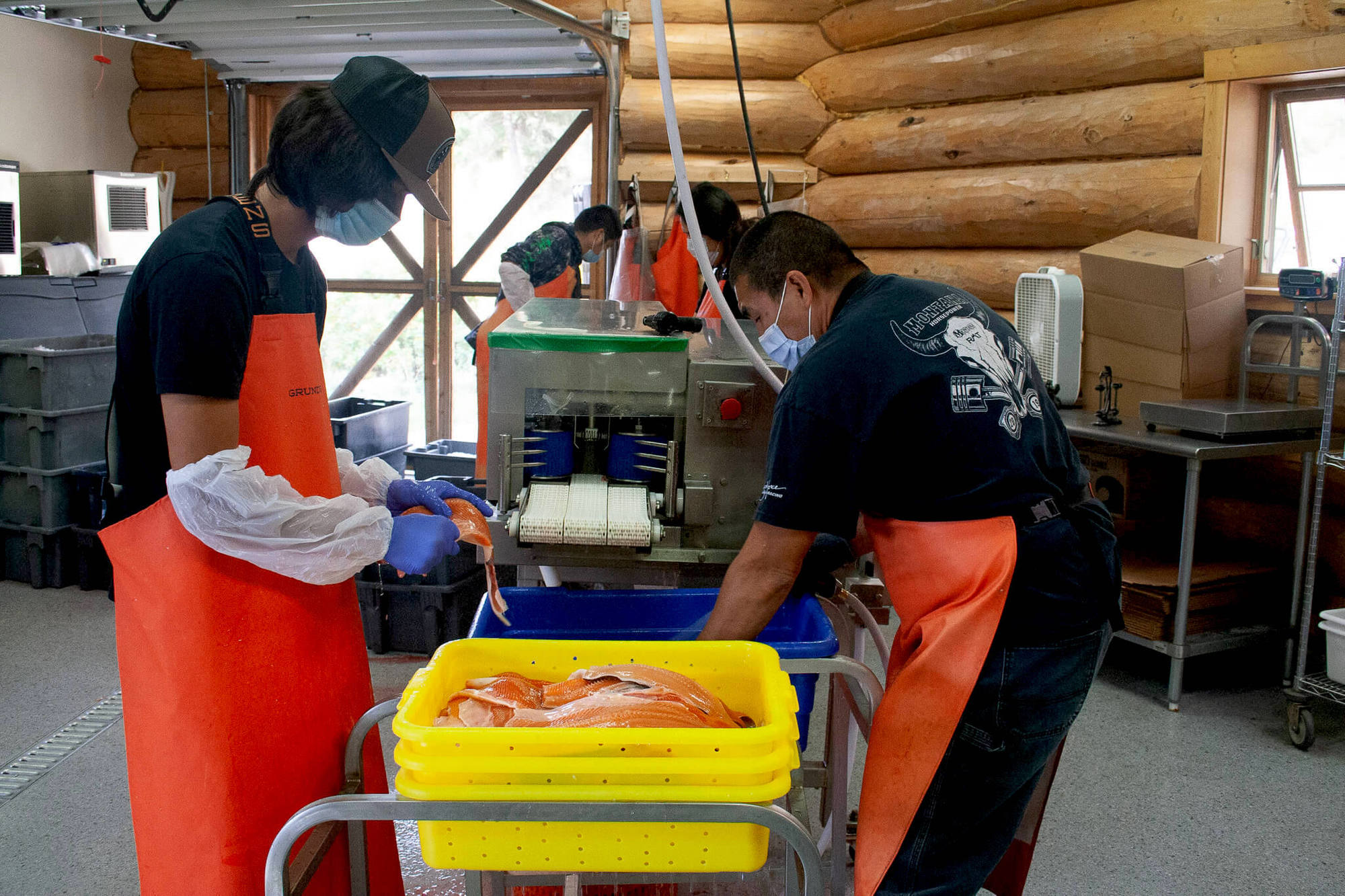 Members of CSKT’s cleaning lake trout and processing at the Blue Bay fish processing center on the southeastern shore of Flathead Lake. November 2021