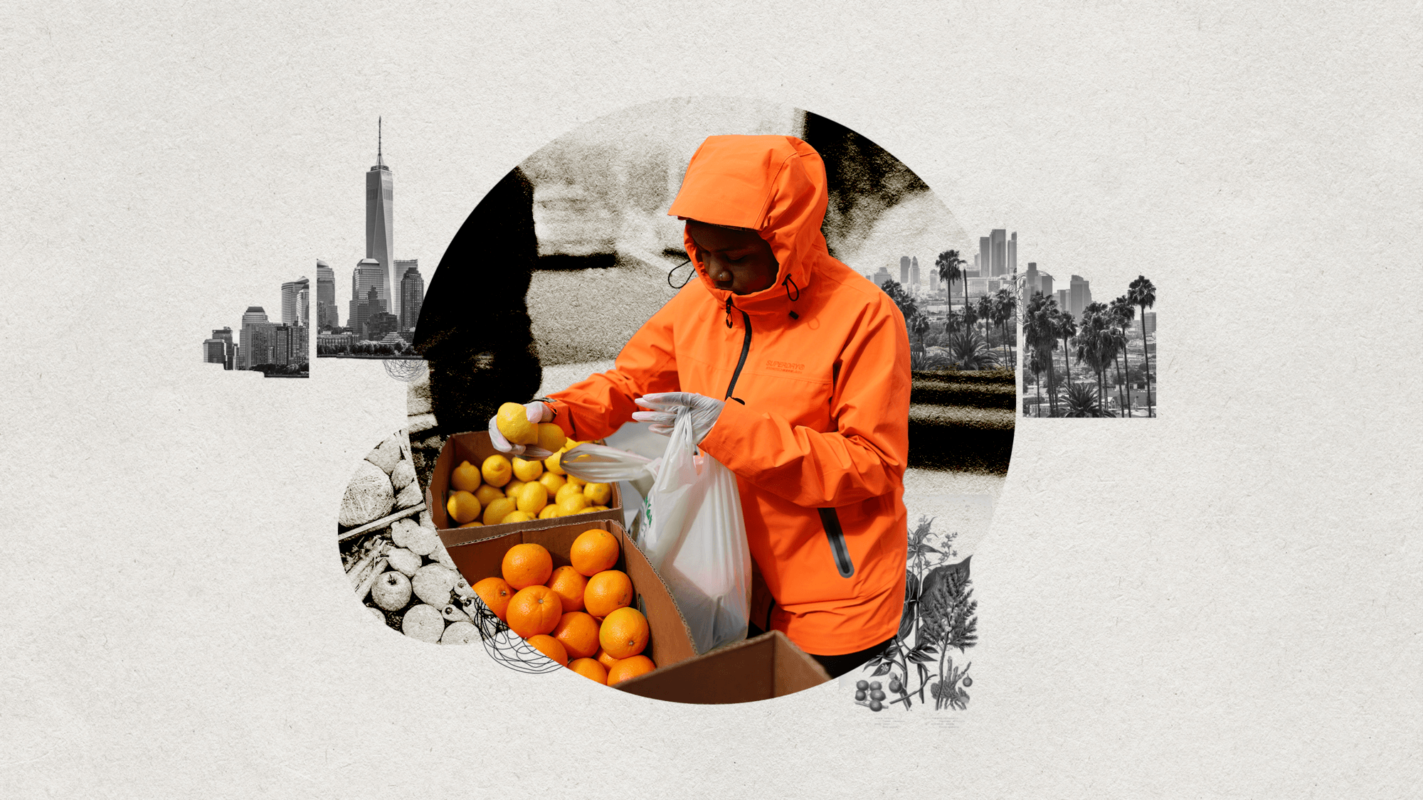 women in orange jacket picking up oranges surrounded by city skylines and food 110421.